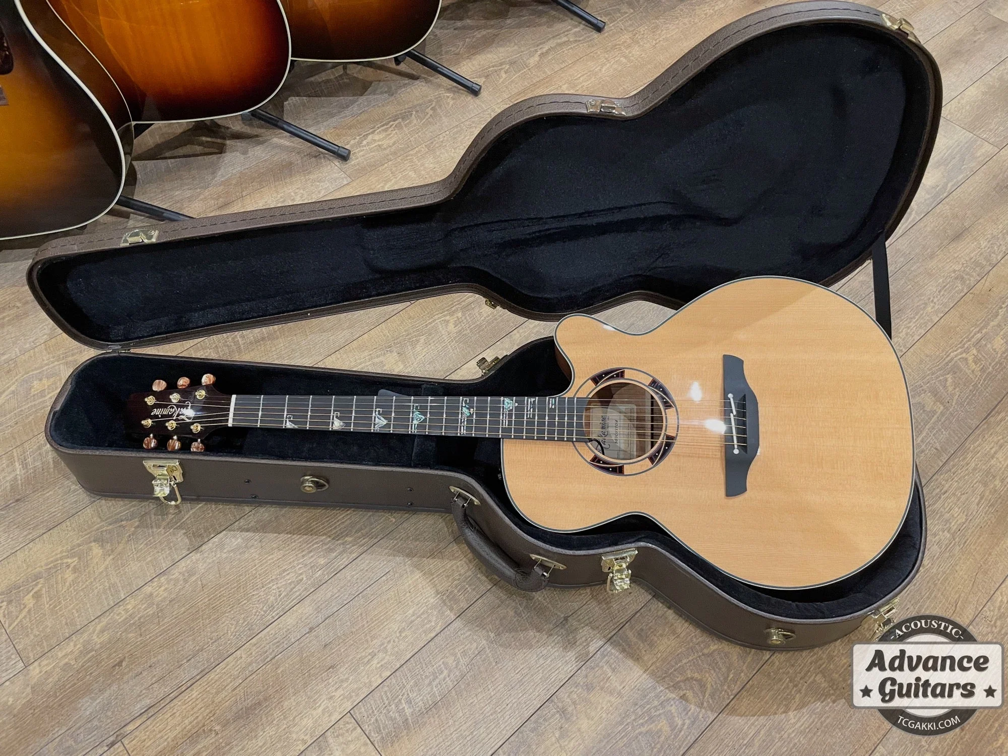 Takamine 2021年製 500 CUSTOM - Image 28