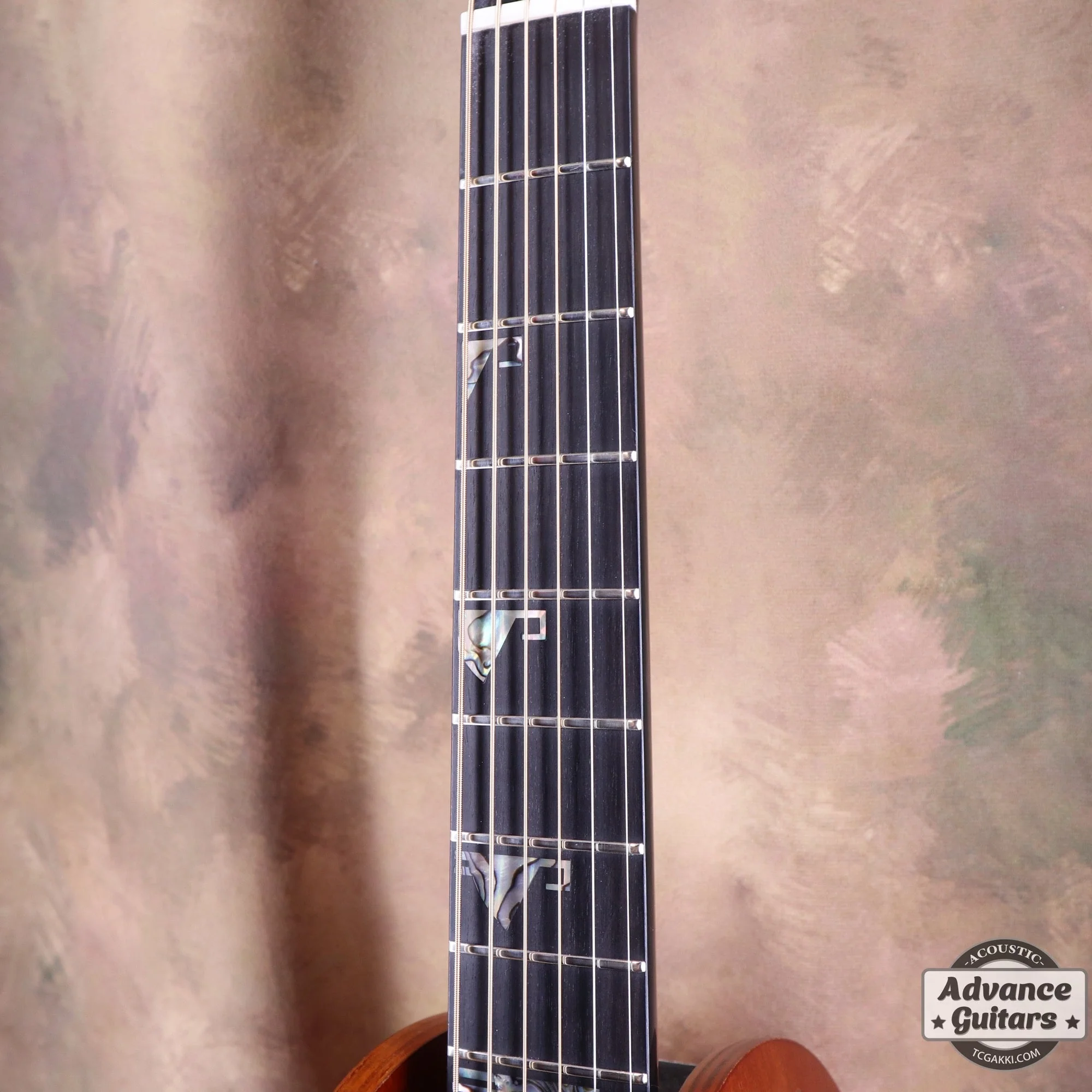 Takamine 2021年製 500 CUSTOM - Image 6