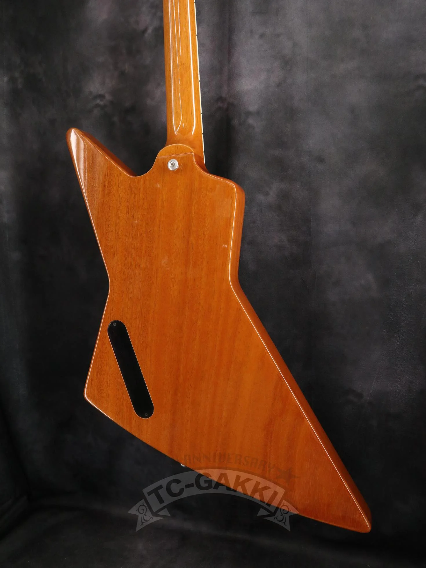 Gibson 2020 70s Explorer - Image 10