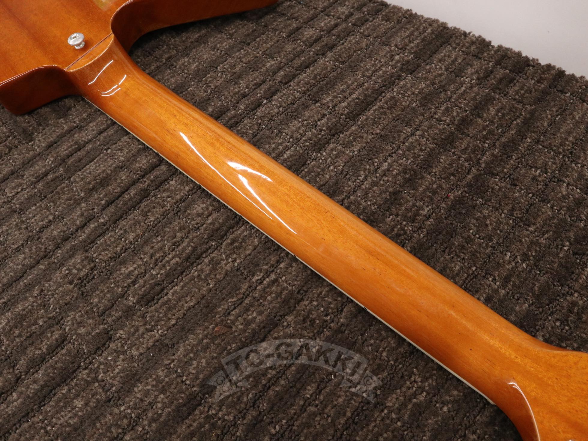 Gibson 2020 70s Explorer - Image 24