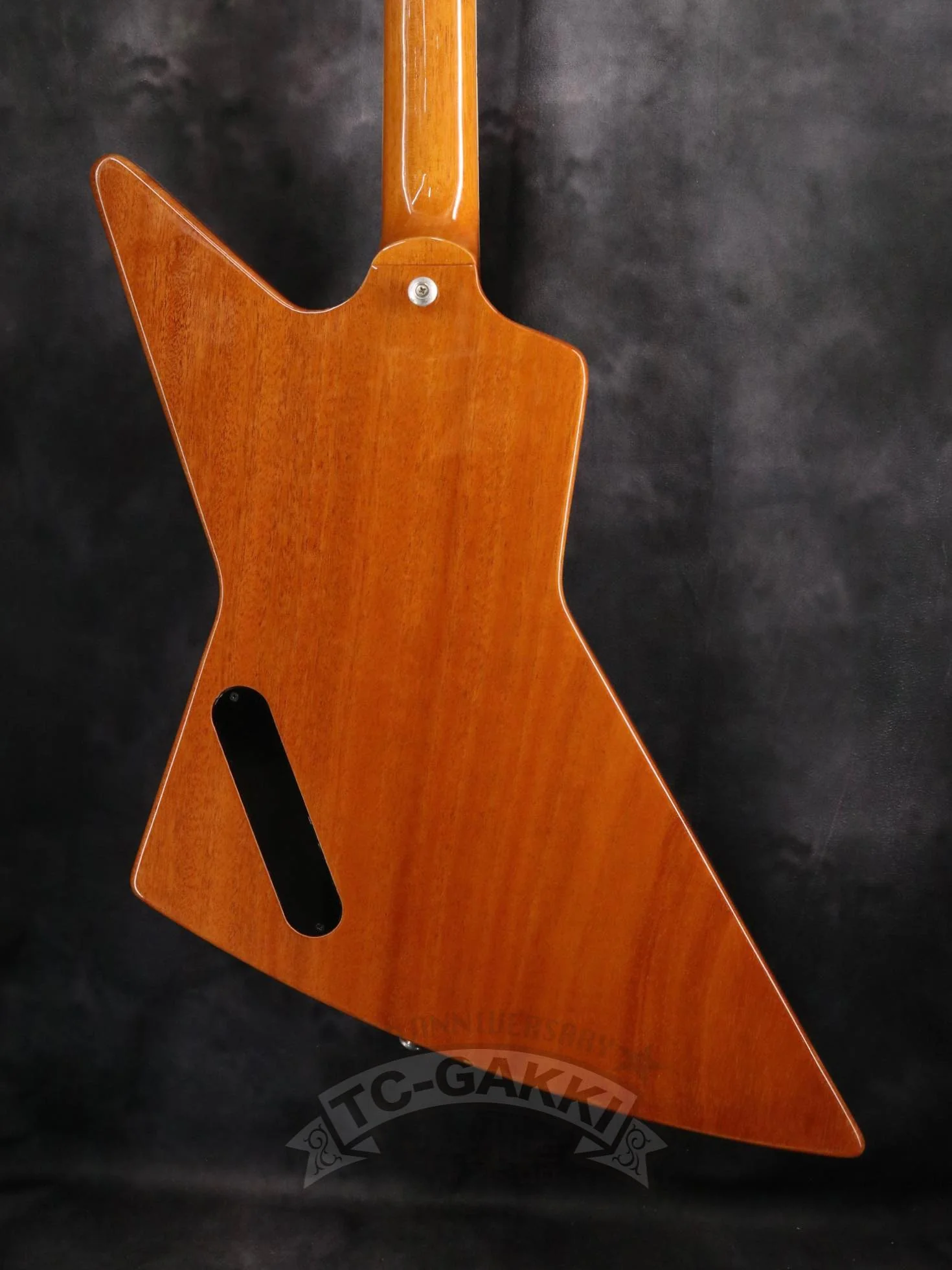 Gibson 2020 70s Explorer - Image 6
