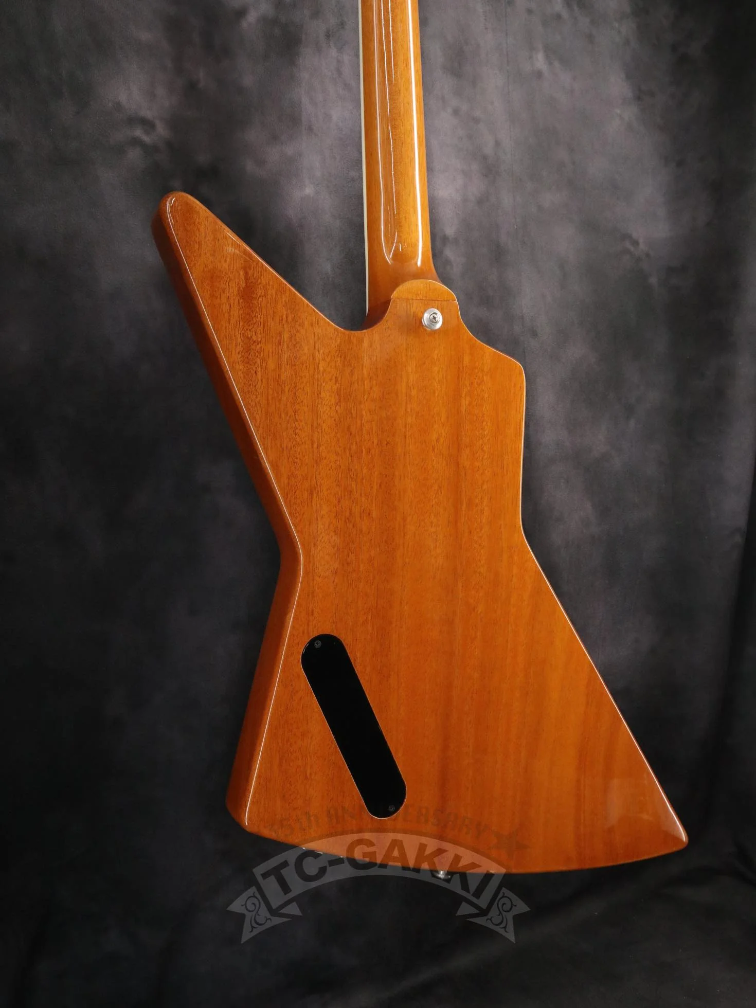 Gibson 2020 70s Explorer - Image 9