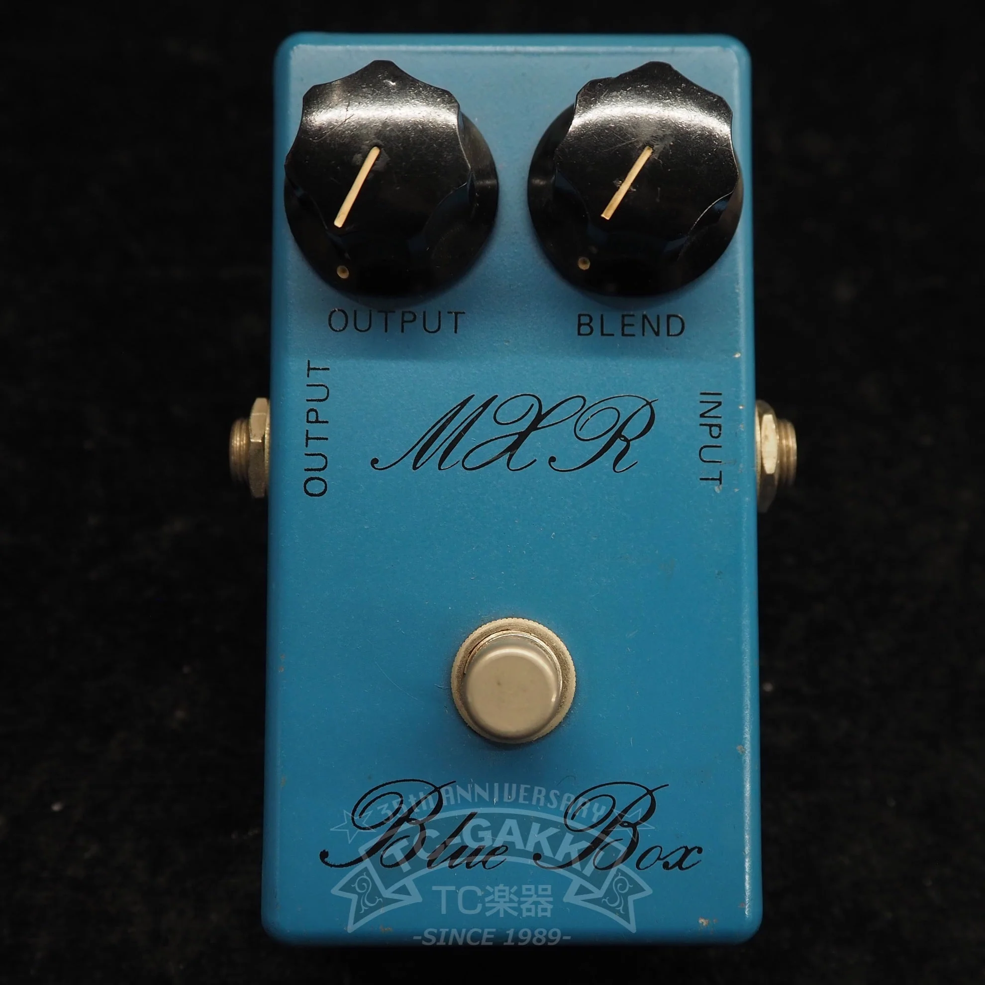 Blue Box (Script Logo/BUD Case) - Image 4