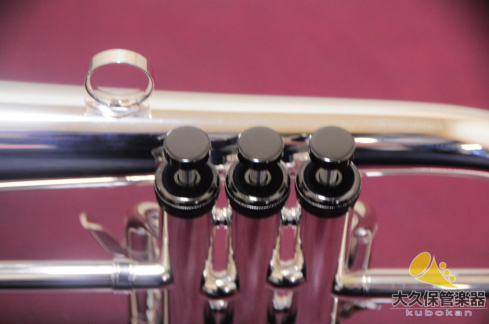 ブラスパイア・ユニコーン BPFG-850BS Black Nickel Trim(新品) フリューゲルホルン - Image 13
