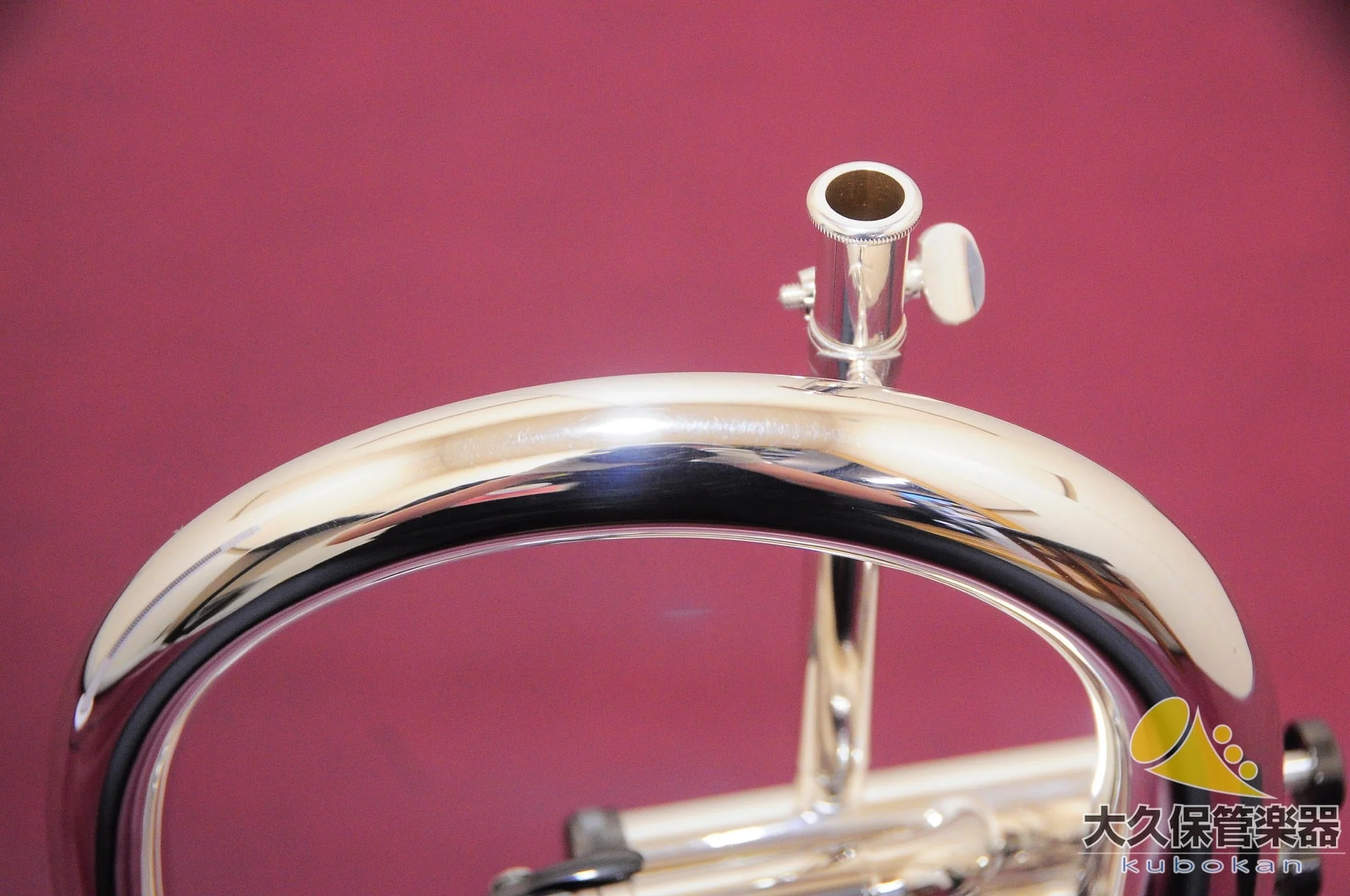 ブラスパイア・ユニコーン BPFG-850BS Black Nickel Trim(新品) フリューゲルホルン - Image 6