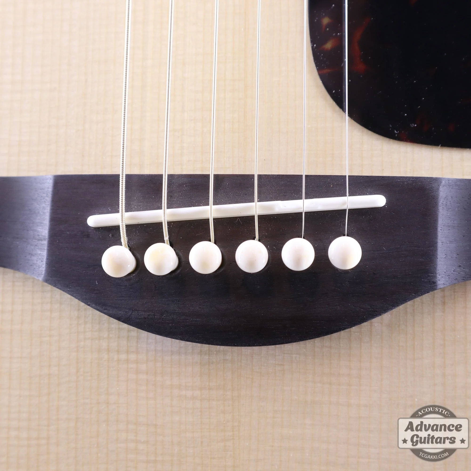 Preciso Bridge Pin & End Pin Set(Bone & Plain)