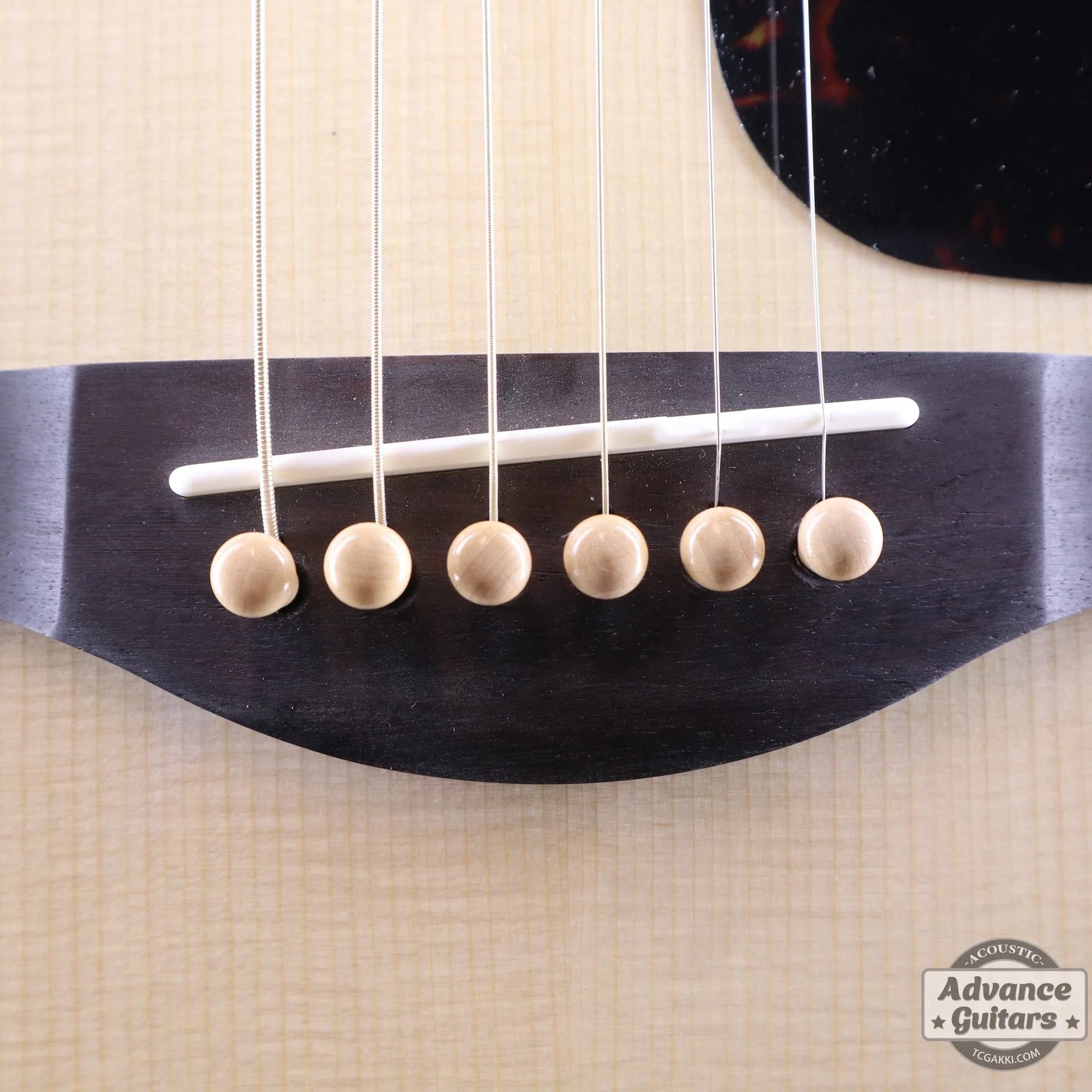 Preciso Wood Bridge Pin & End Pin Set(Boxwood Plain)