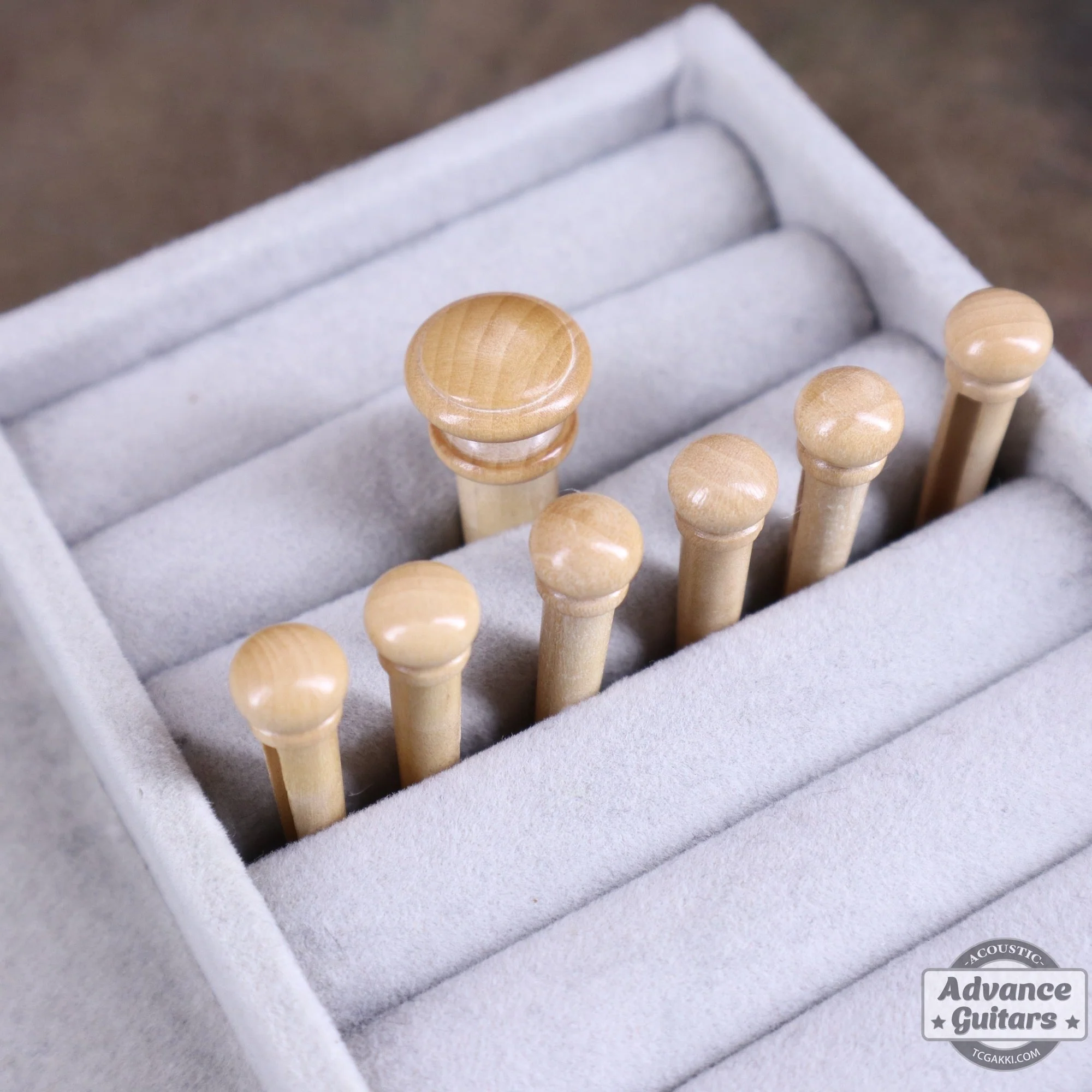 Preciso Wood Bridge Pin & End Pin Set(Boxwood Plain) - Image 3