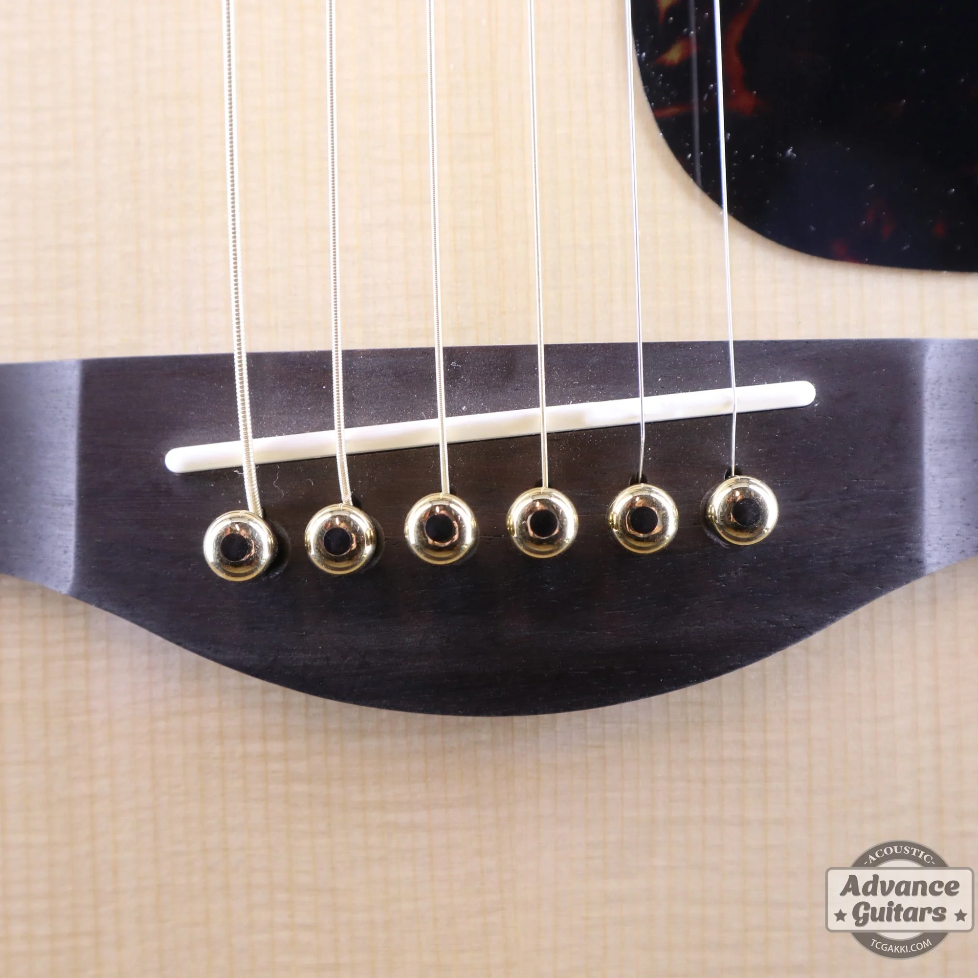 Preciso Bridge Pin & End Pin Set(Brass & Ebony Dot)