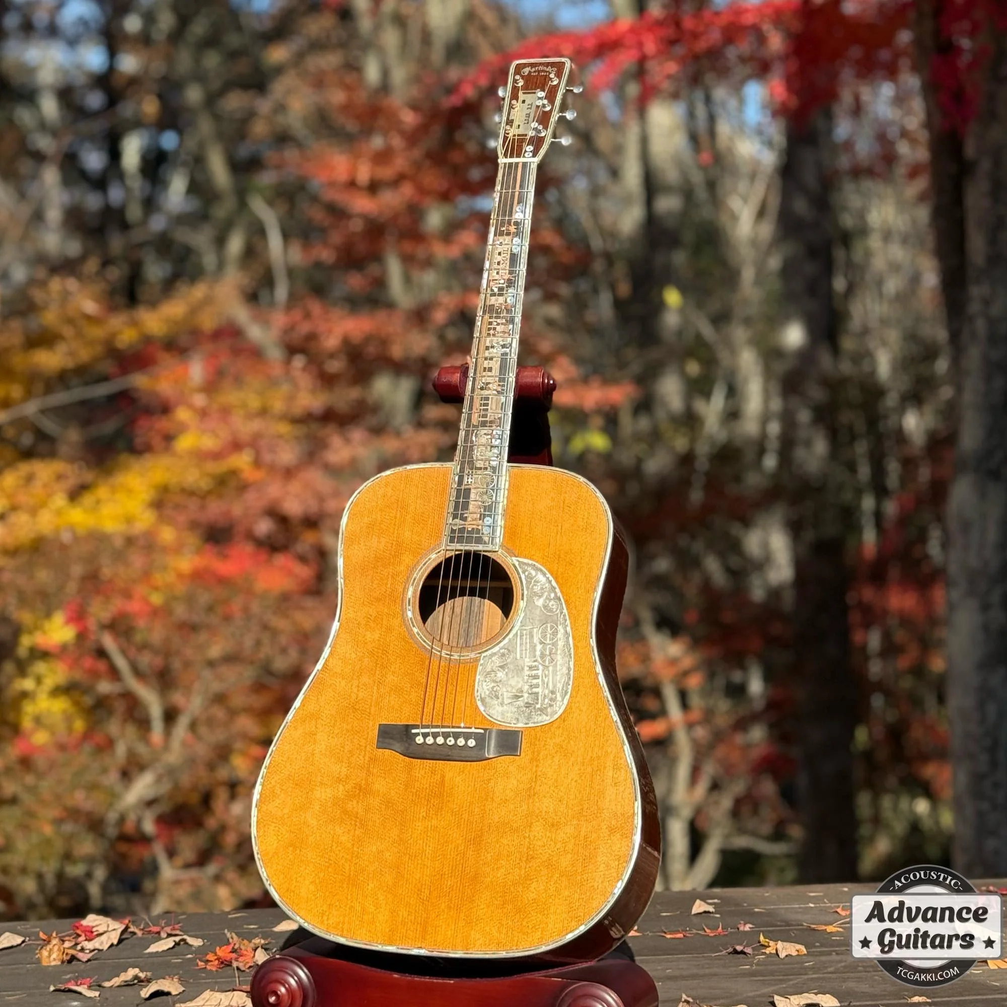 1967年製 D-28 "TRAIN"(Inlayed by Larry Robinson,Engraved by Greg Rich)