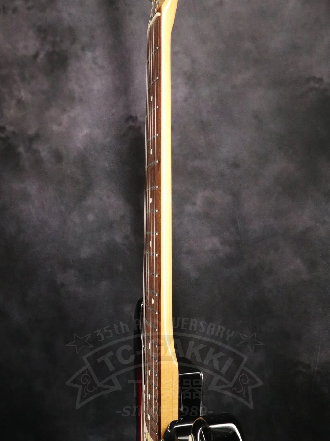 DS model - Image 10