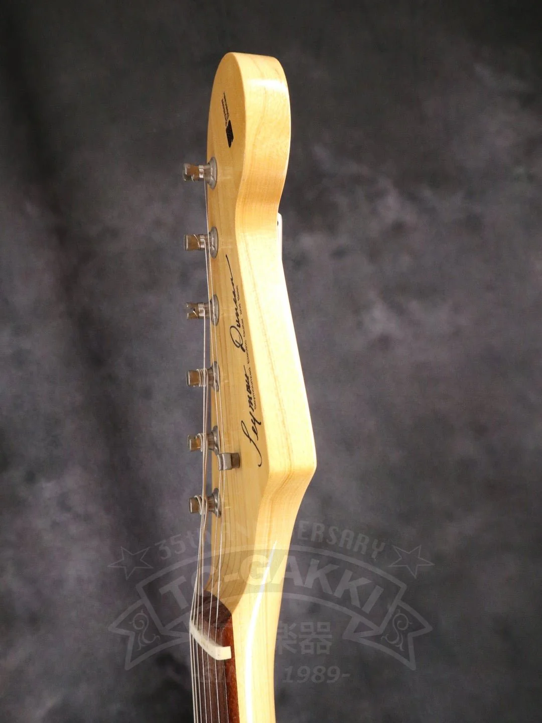 DS model - Image 11