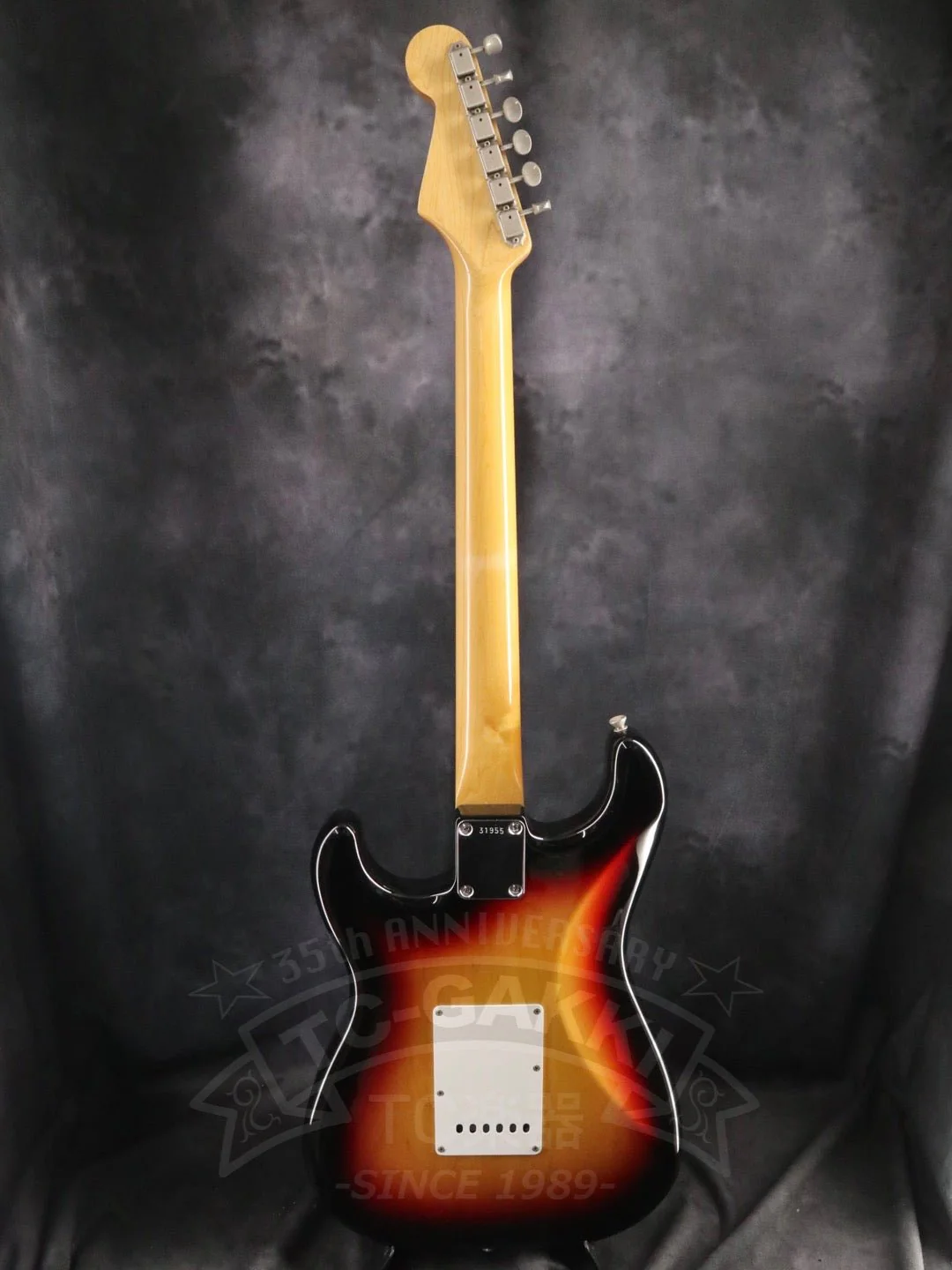 DS model - Image 13