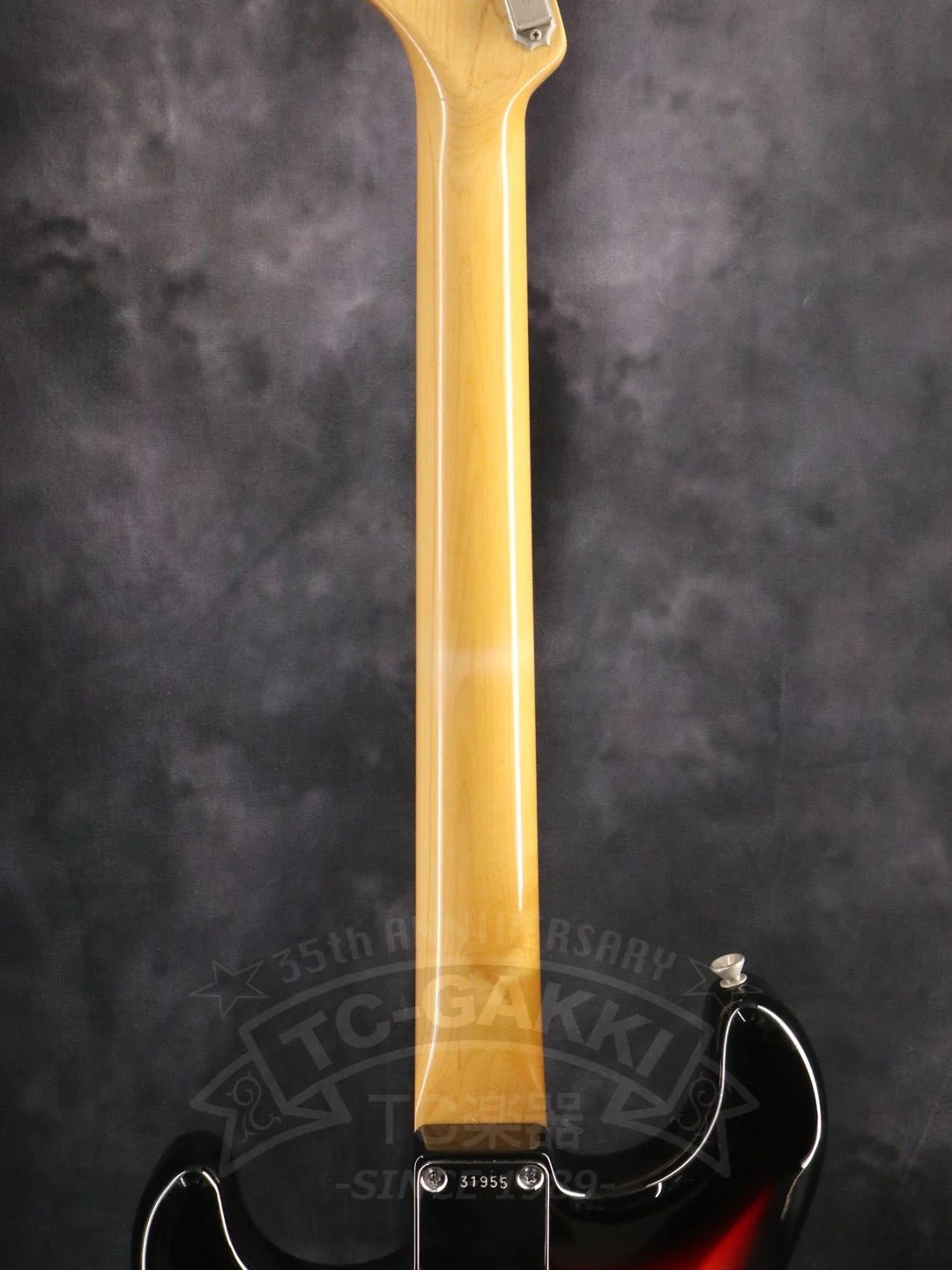 DS model - Image 14