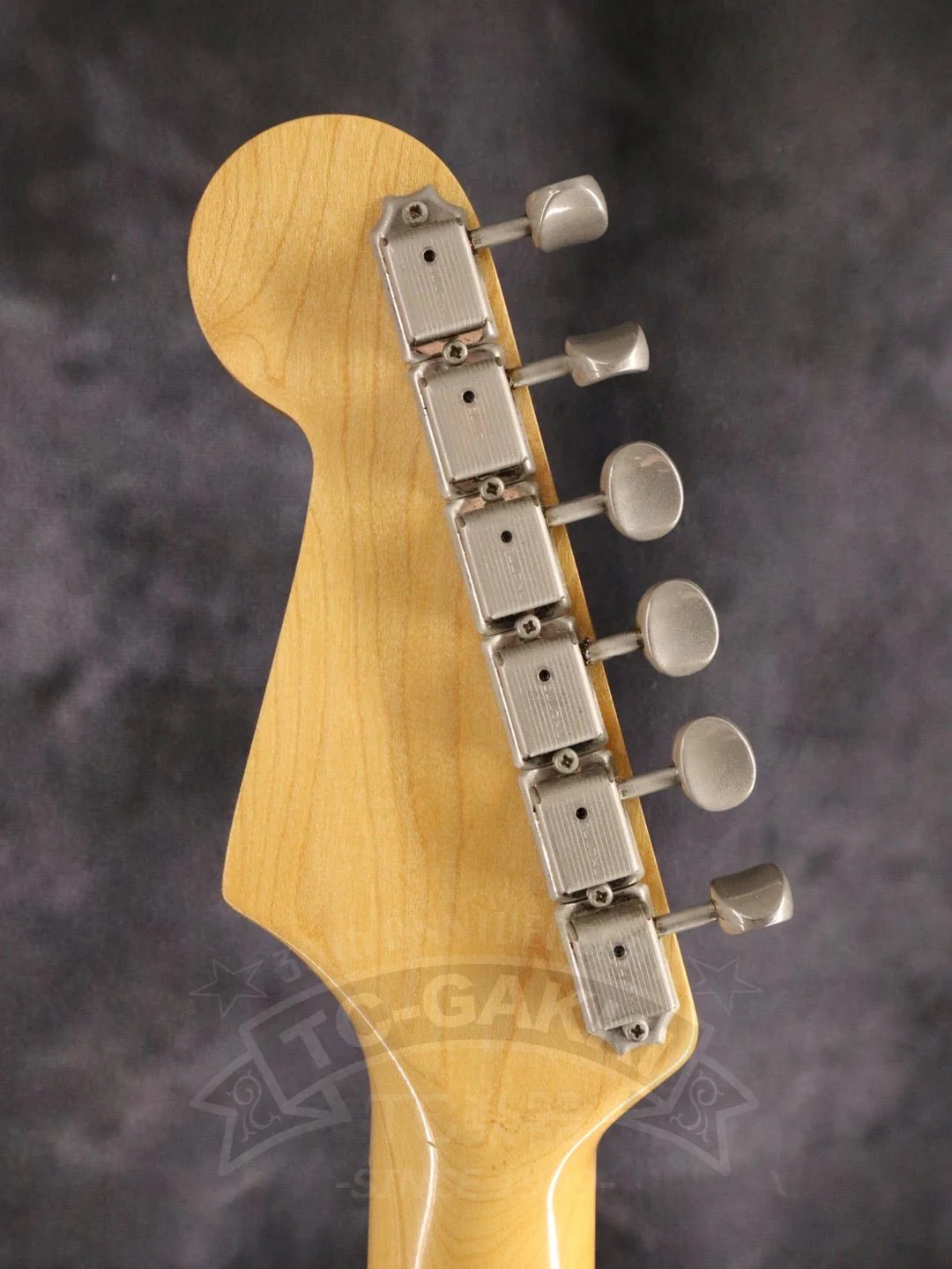 DS model - Image 15
