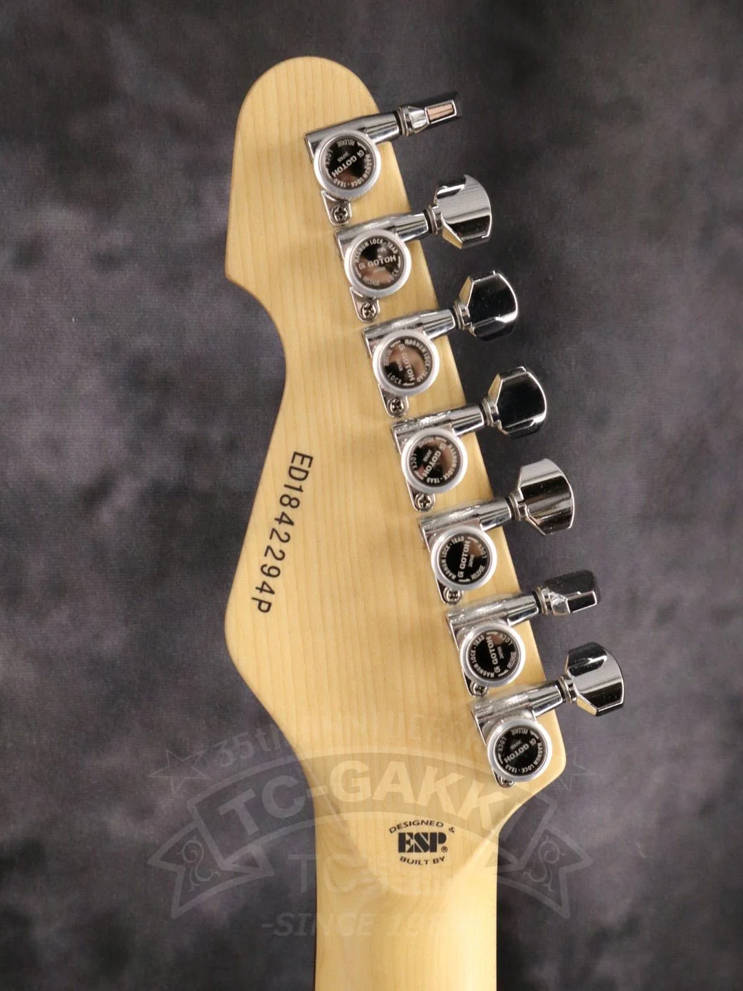 E-SNAPPER-7 Fujioka Custom - Image 15