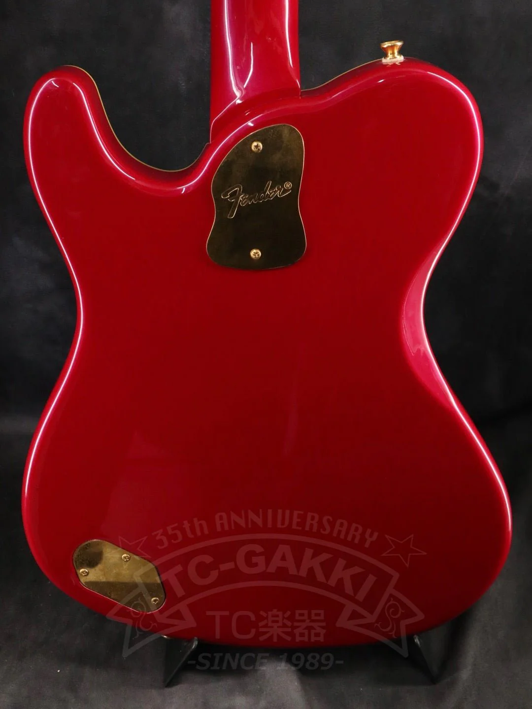 Fender Japan Terry-1 ANNIVERSARY Mod - Image 12