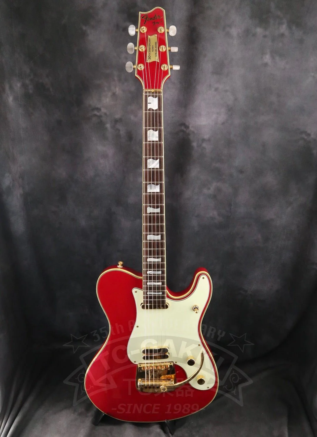 Fender Japan Terry-1 ANNIVERSARY Mod - Image 2