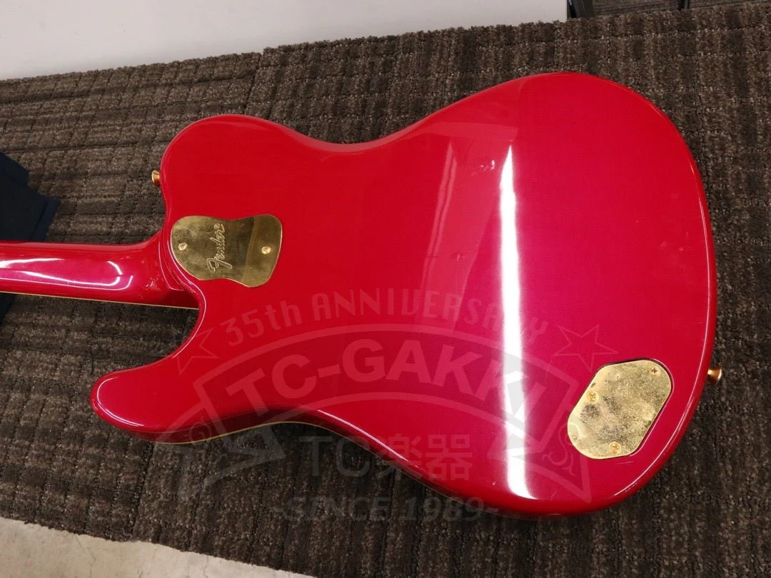 Fender Japan Terry-1 ANNIVERSARY Mod - Image 24
