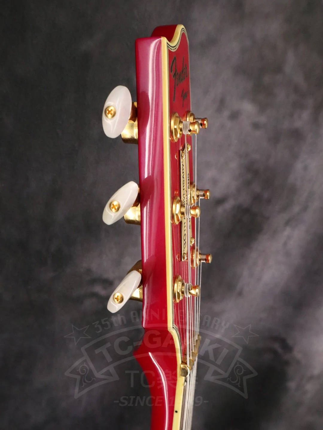 Fender Japan Terry-1 ANNIVERSARY Mod - Image 8