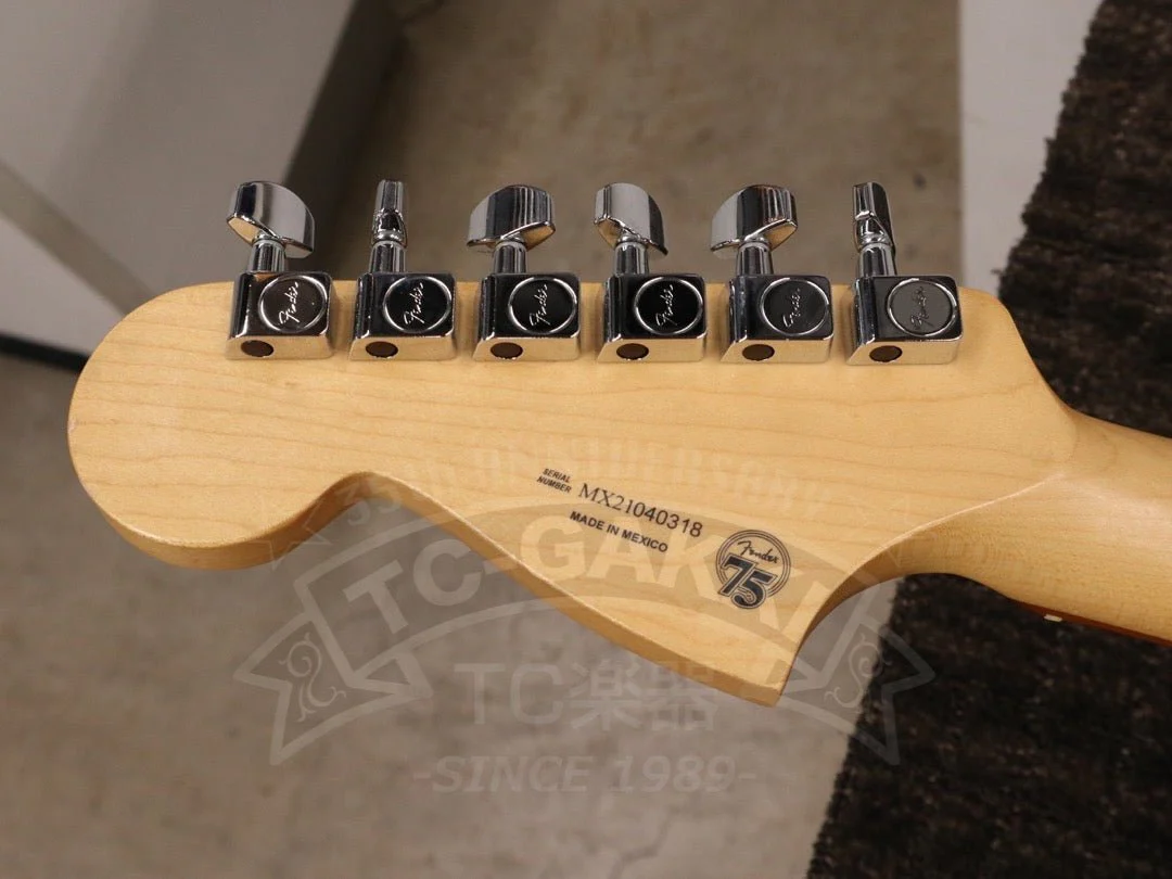Fender Mexico Player Jaguar - Image 22