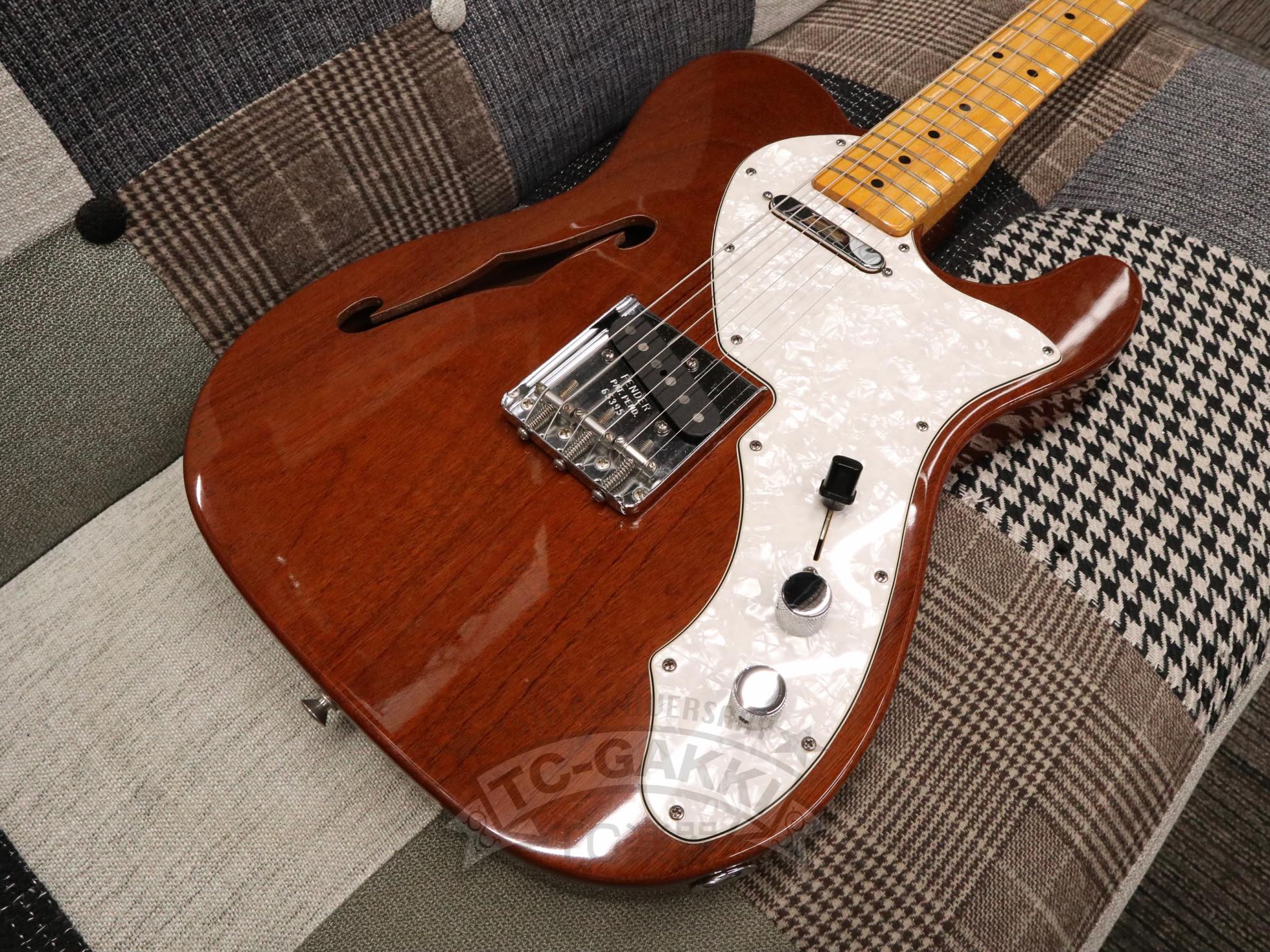 Fender USA FSR 69 Telecaster Thinline - Image 11