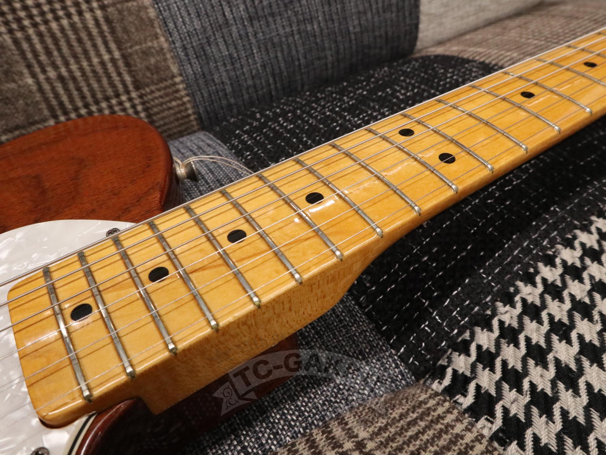 Fender USA FSR 69 Telecaster Thinline - Image 18