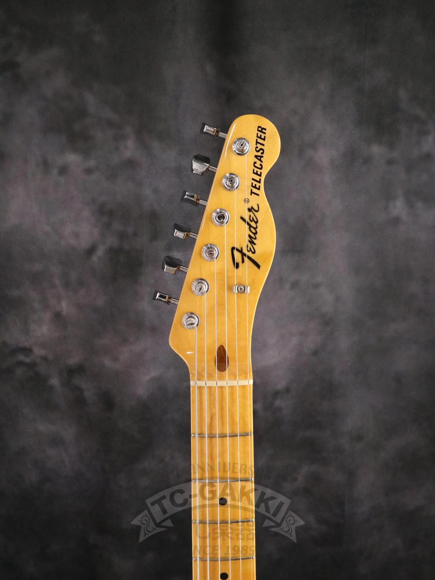 Fender USA FSR 69 Telecaster Thinline - Image 2