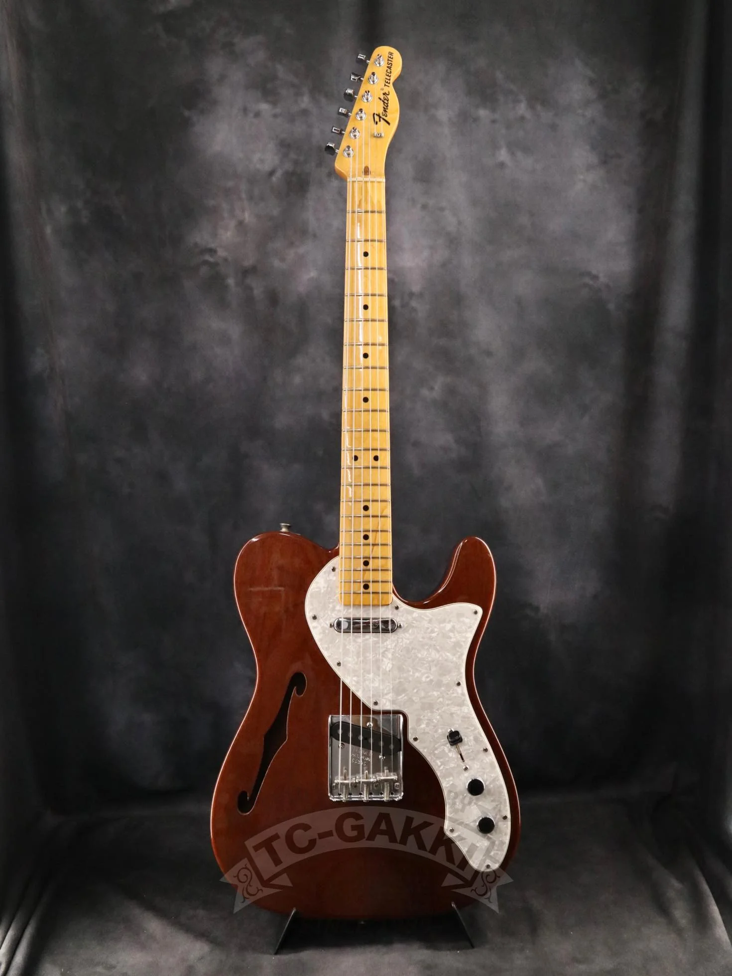 Fender USA FSR 69 Telecaster Thinline - Image 3