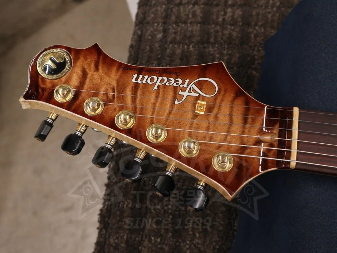 Freedom Custom Guitar Research HYDRA 2point-24F - Image 20