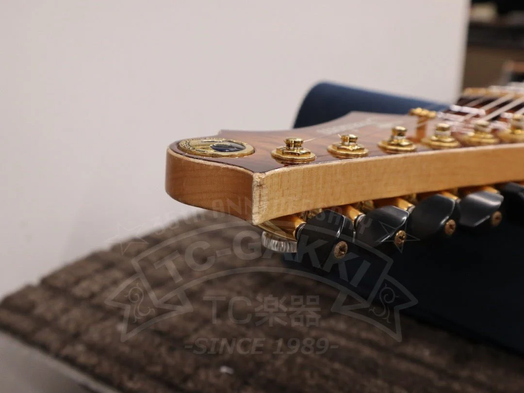 Freedom Custom Guitar Research HYDRA 2point-24F - Image 24