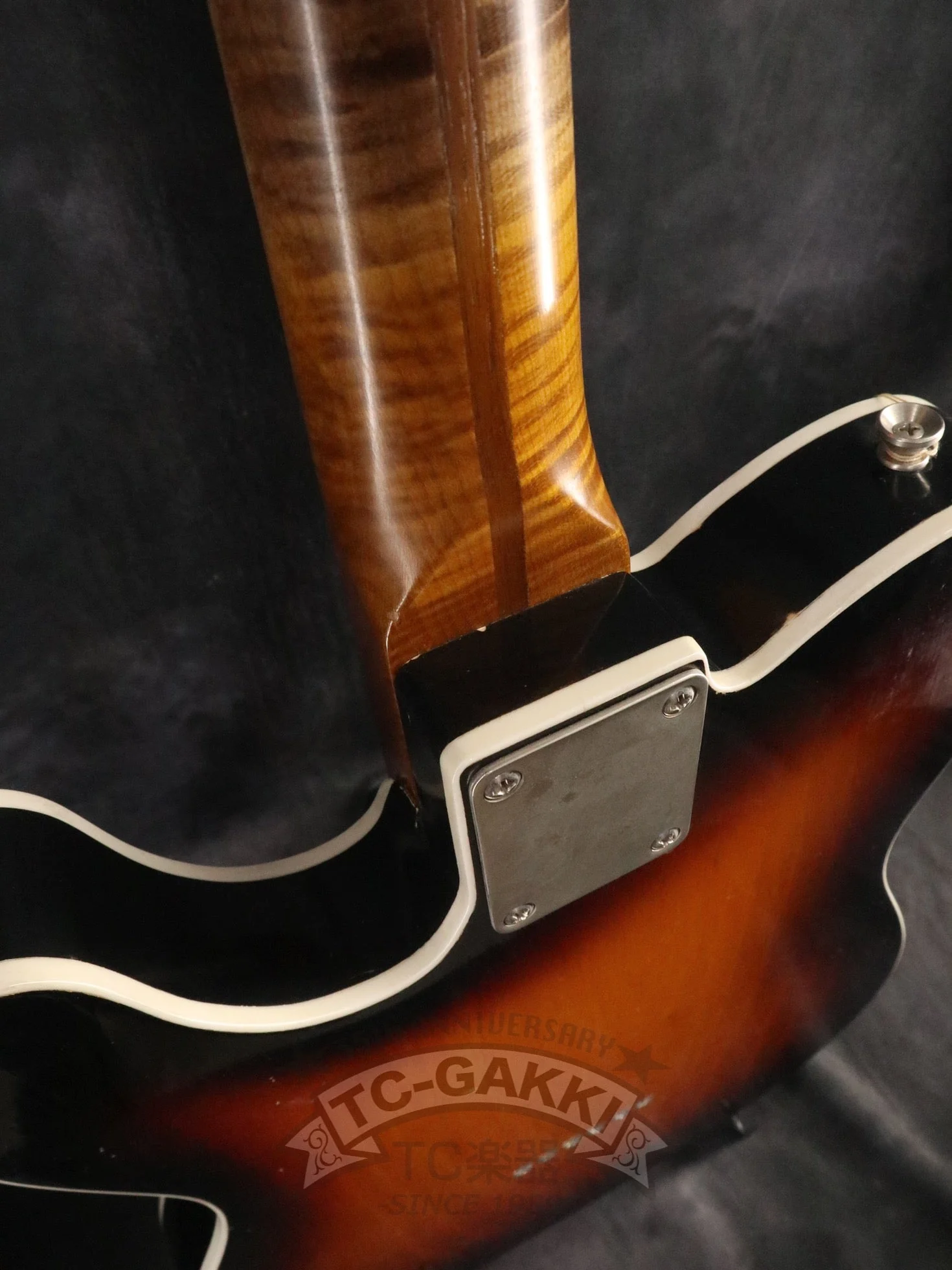 TMG Guitar Gatton Double Binding - Image 10