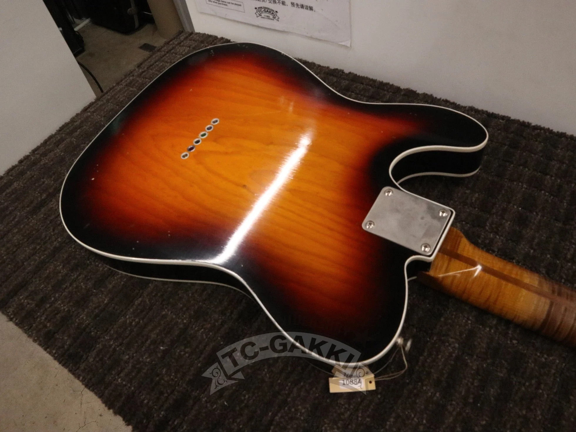 TMG Guitar Gatton Double Binding - Image 24