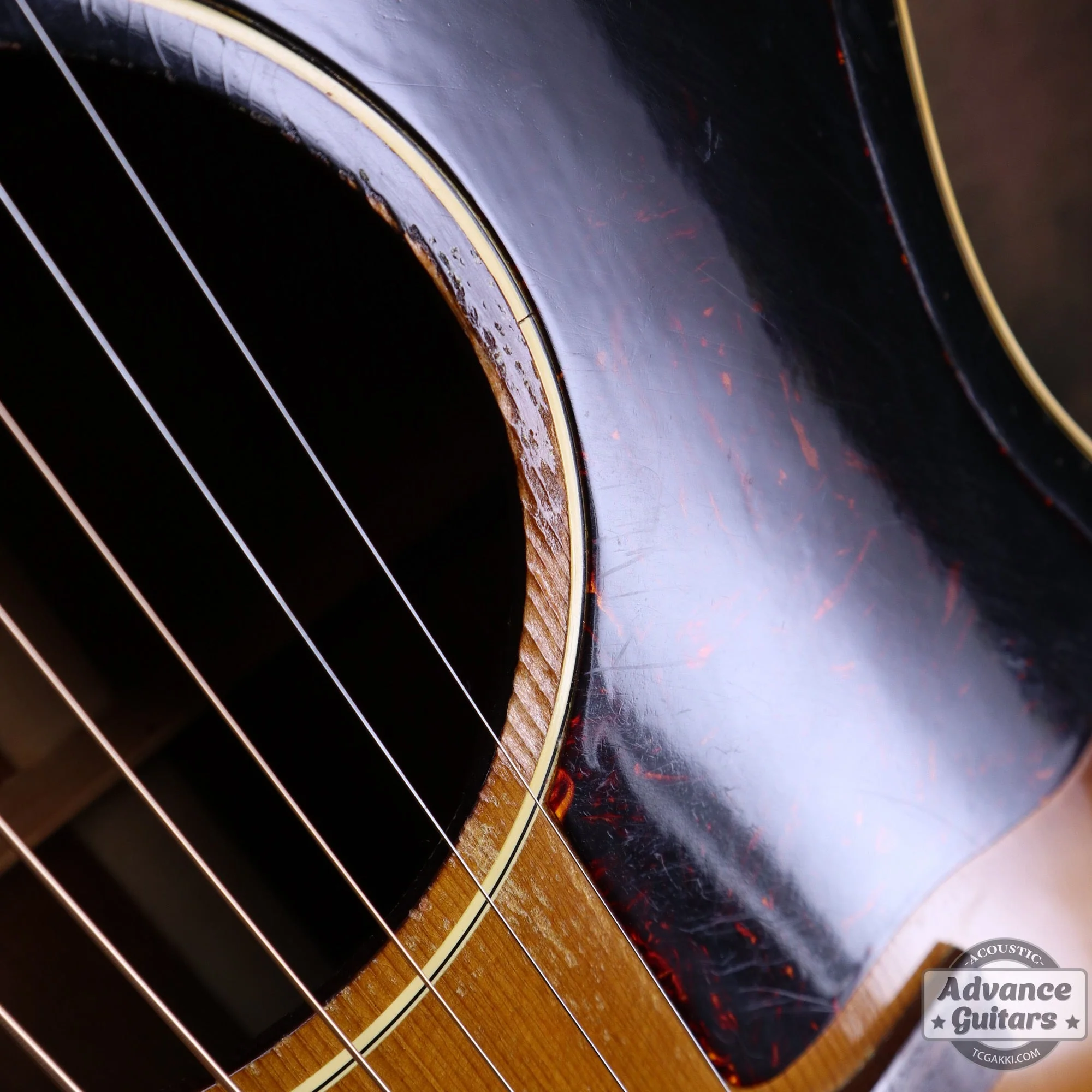 Gibson 1955年製 J-45 - Image 37