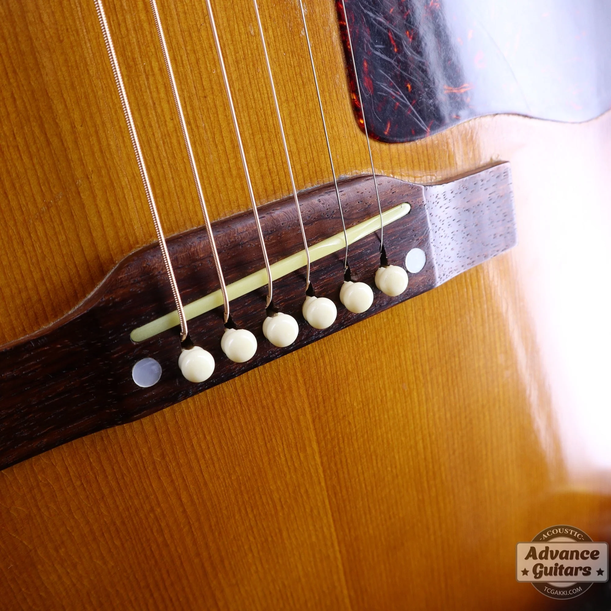 Gibson 1955年製 J-45 - Image 64