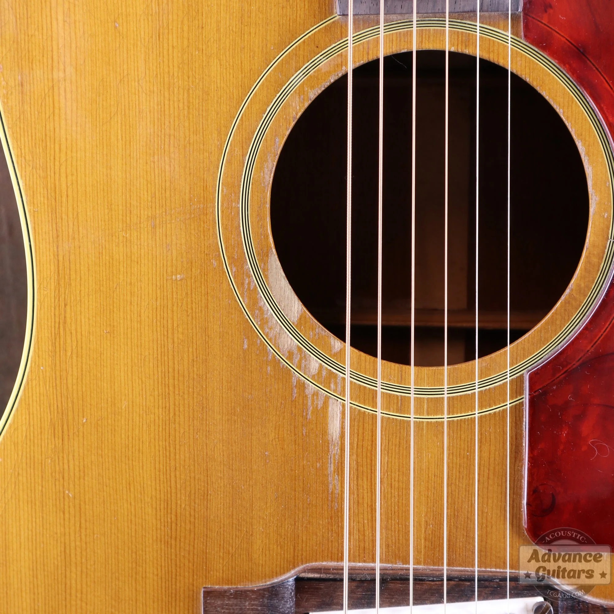 Gibson 1964年製 J-50 - Image 10
