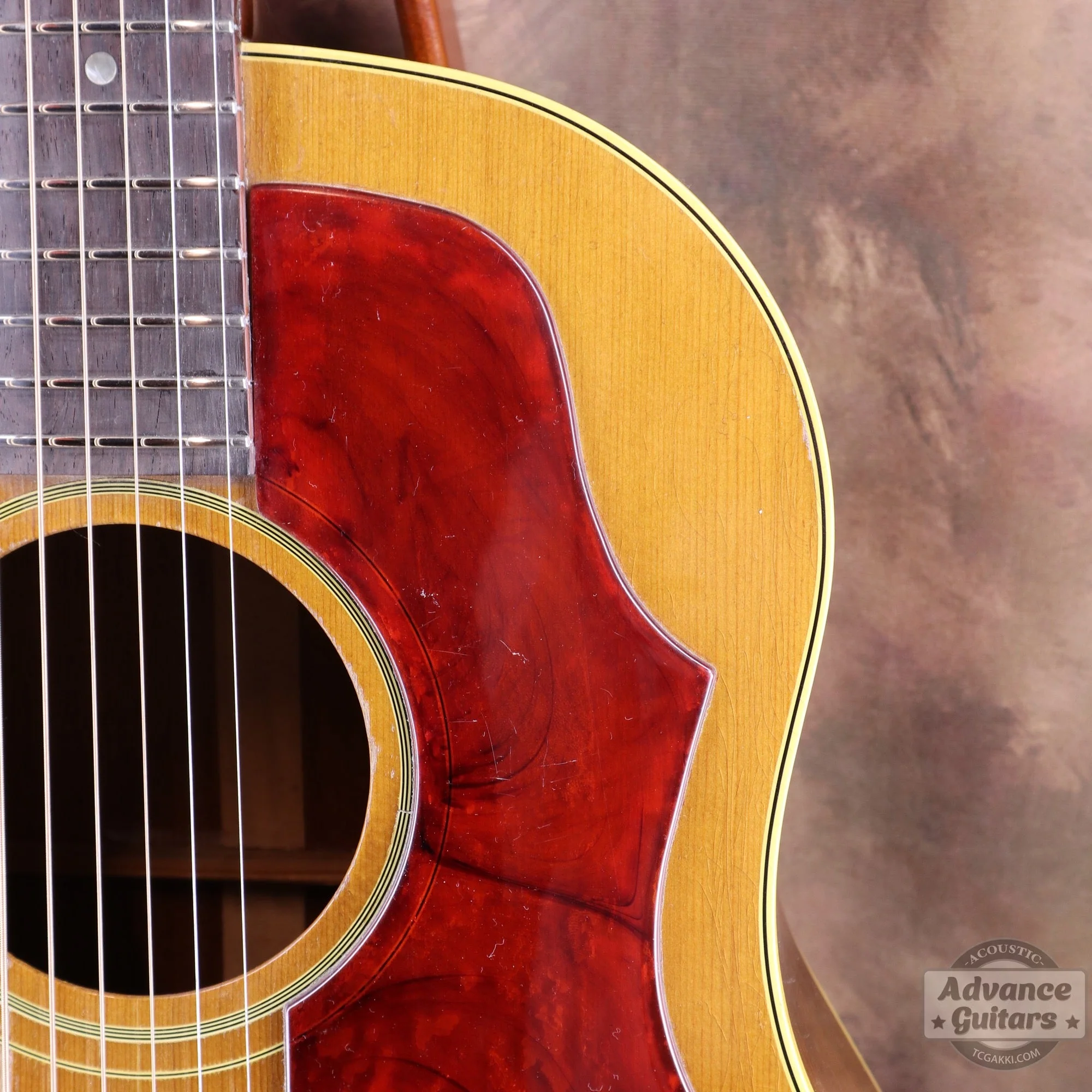 Gibson 1964年製 J-50 - Image 12