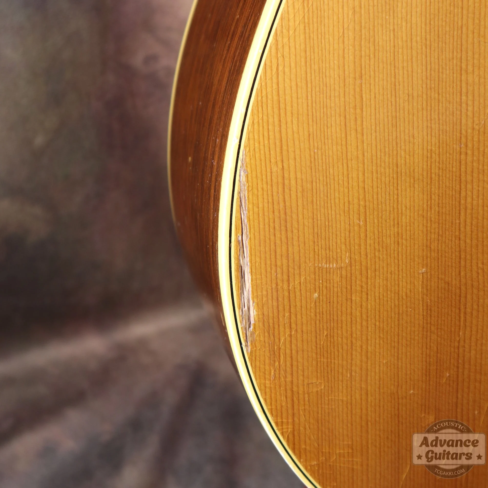 Gibson 1964年製 J-50 - Image 15