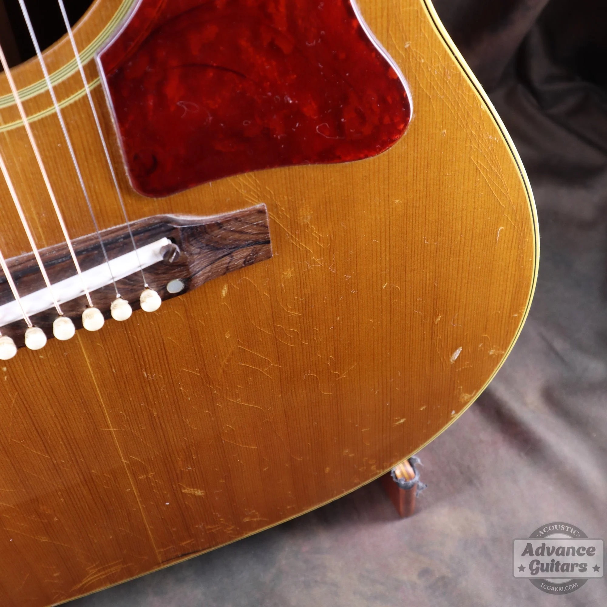 Gibson 1964年製 J-50 - Image 16