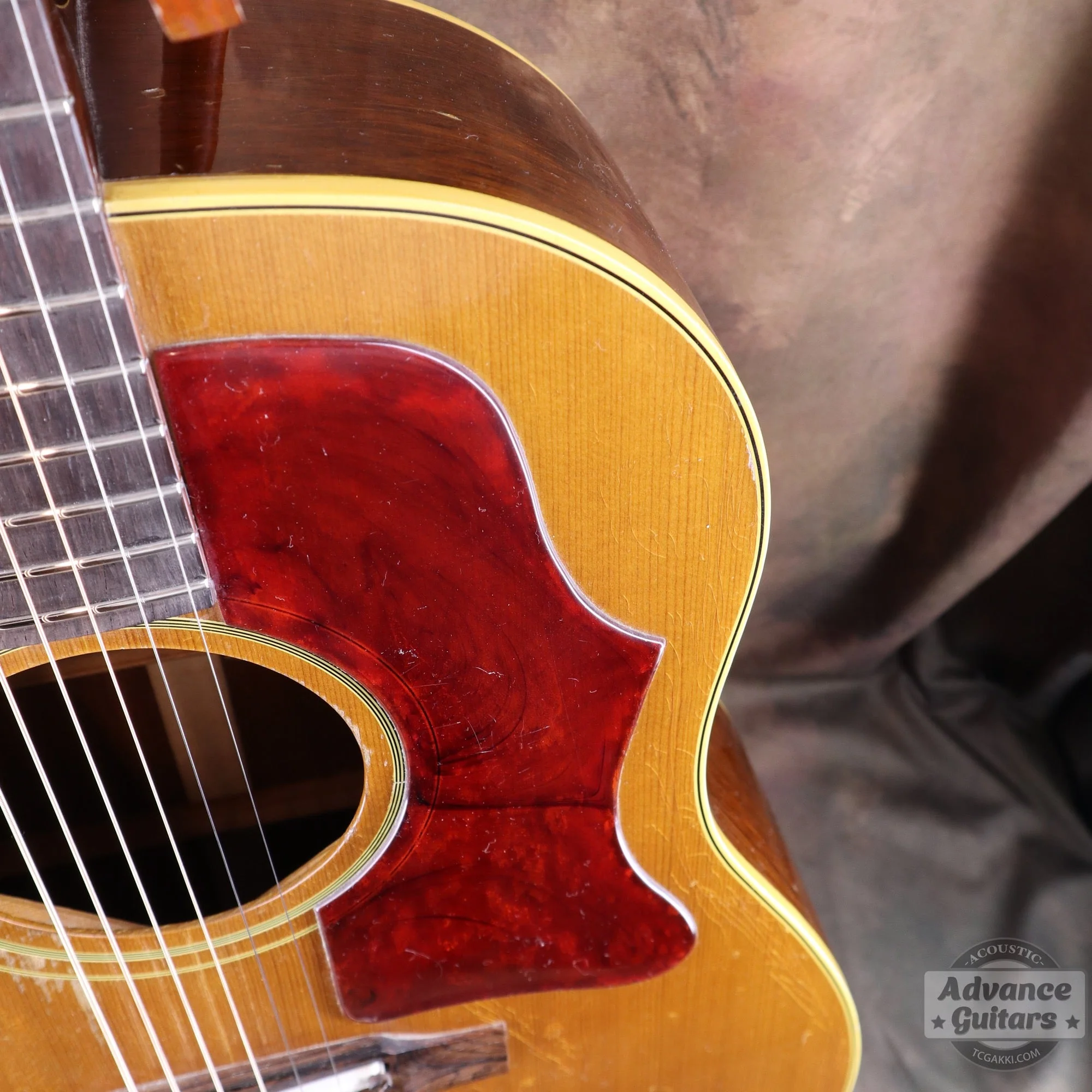 Gibson 1964年製 J-50 - Image 18