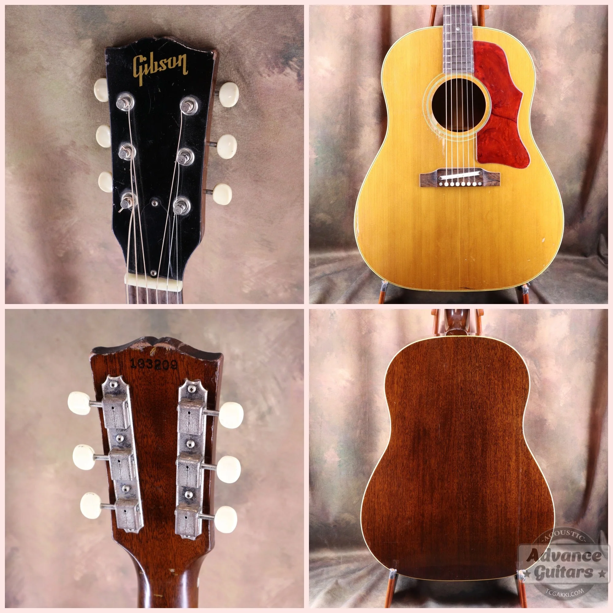 Gibson 1964年製 J-50 - Image 2