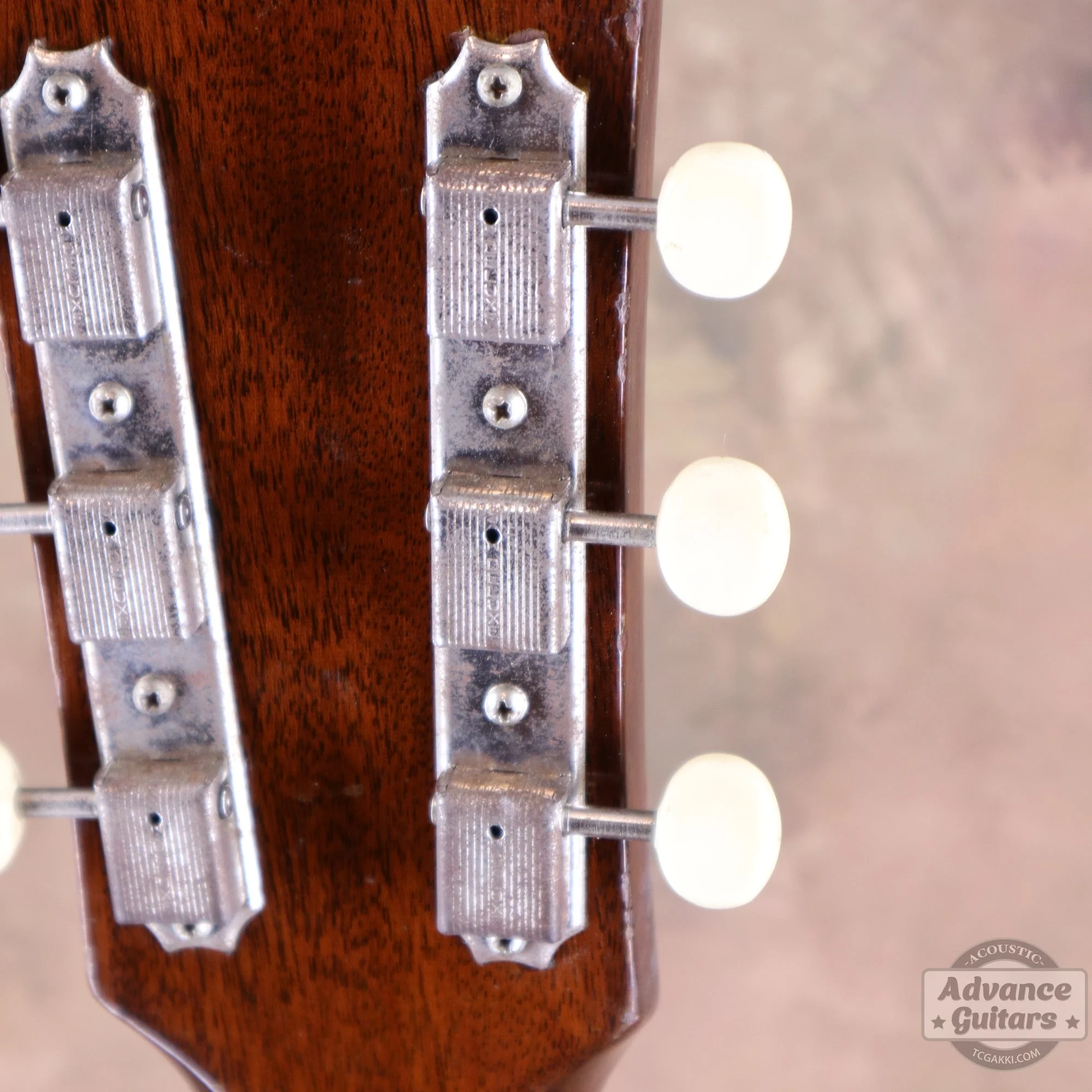 Gibson 1964年製 J-50 - Image 28