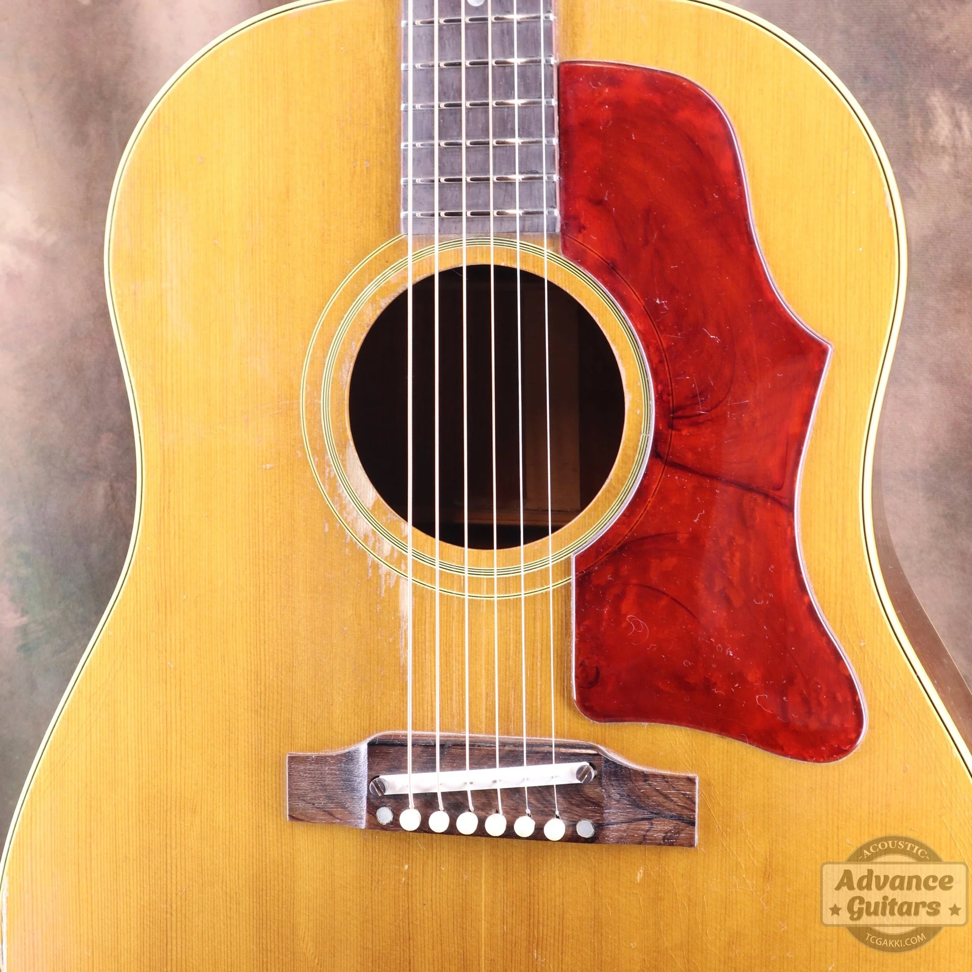 Gibson 1964年製 J-50 - Image 5