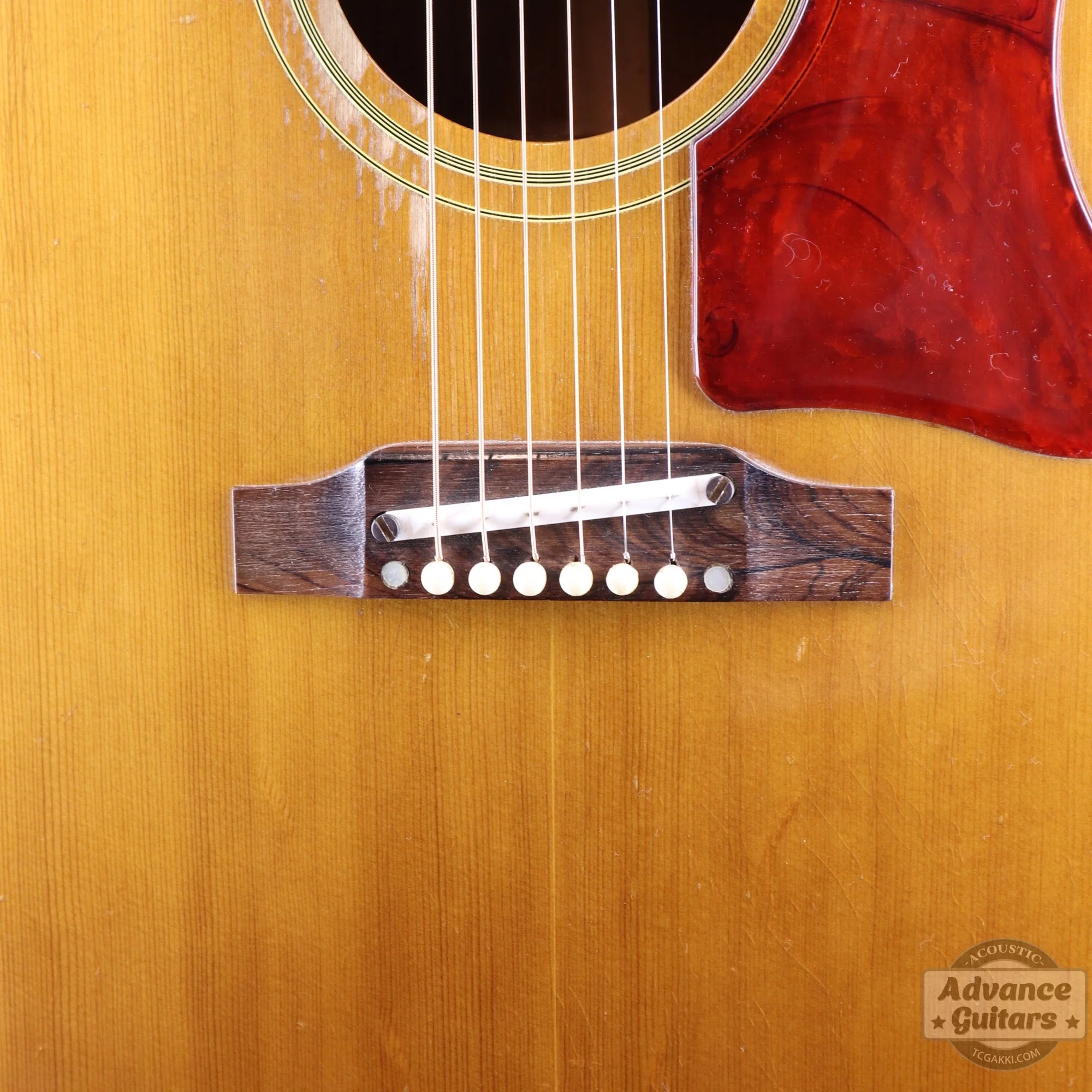 Gibson 1964年製 J-50 - Image 7