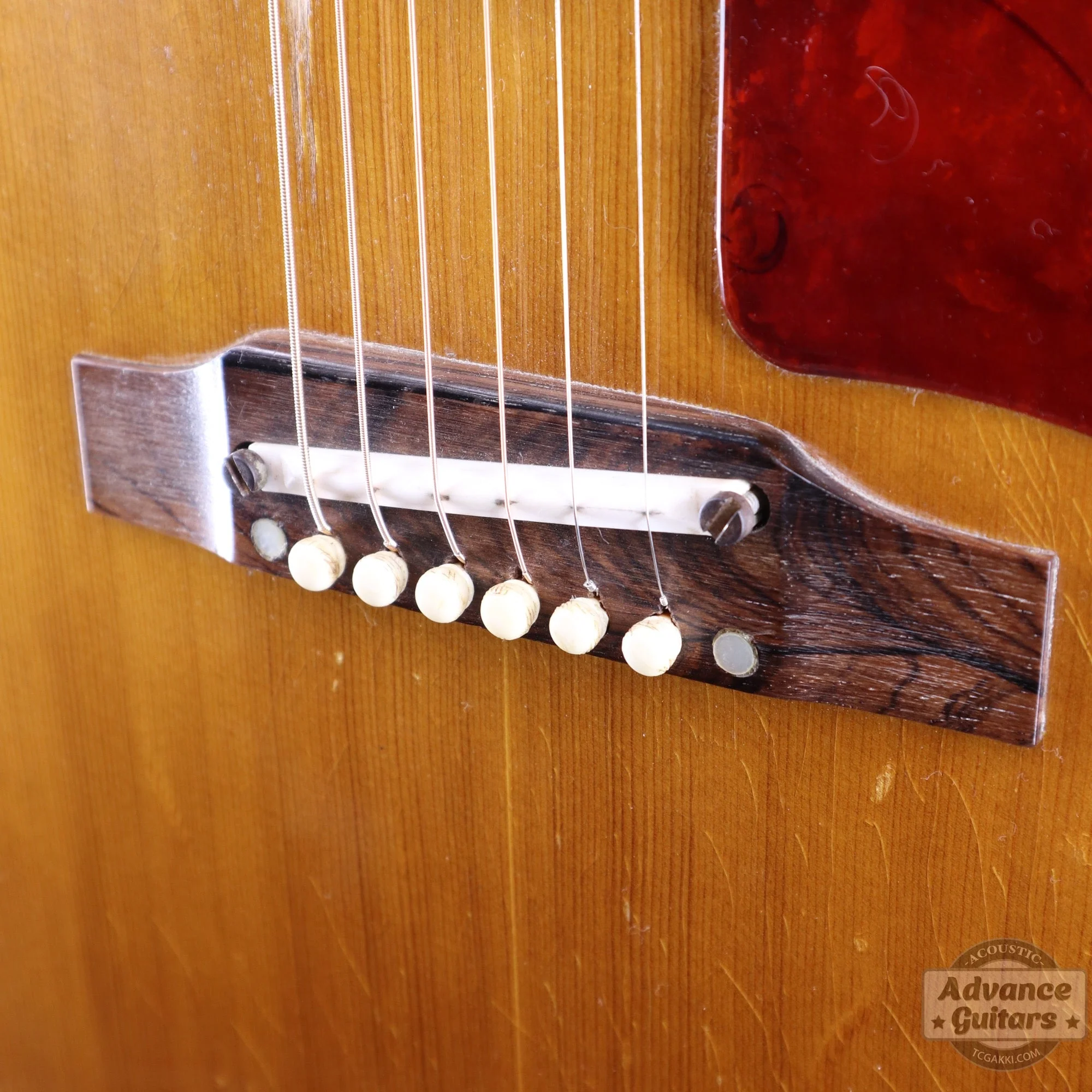 Gibson 1964年製 J-50 - Image 9