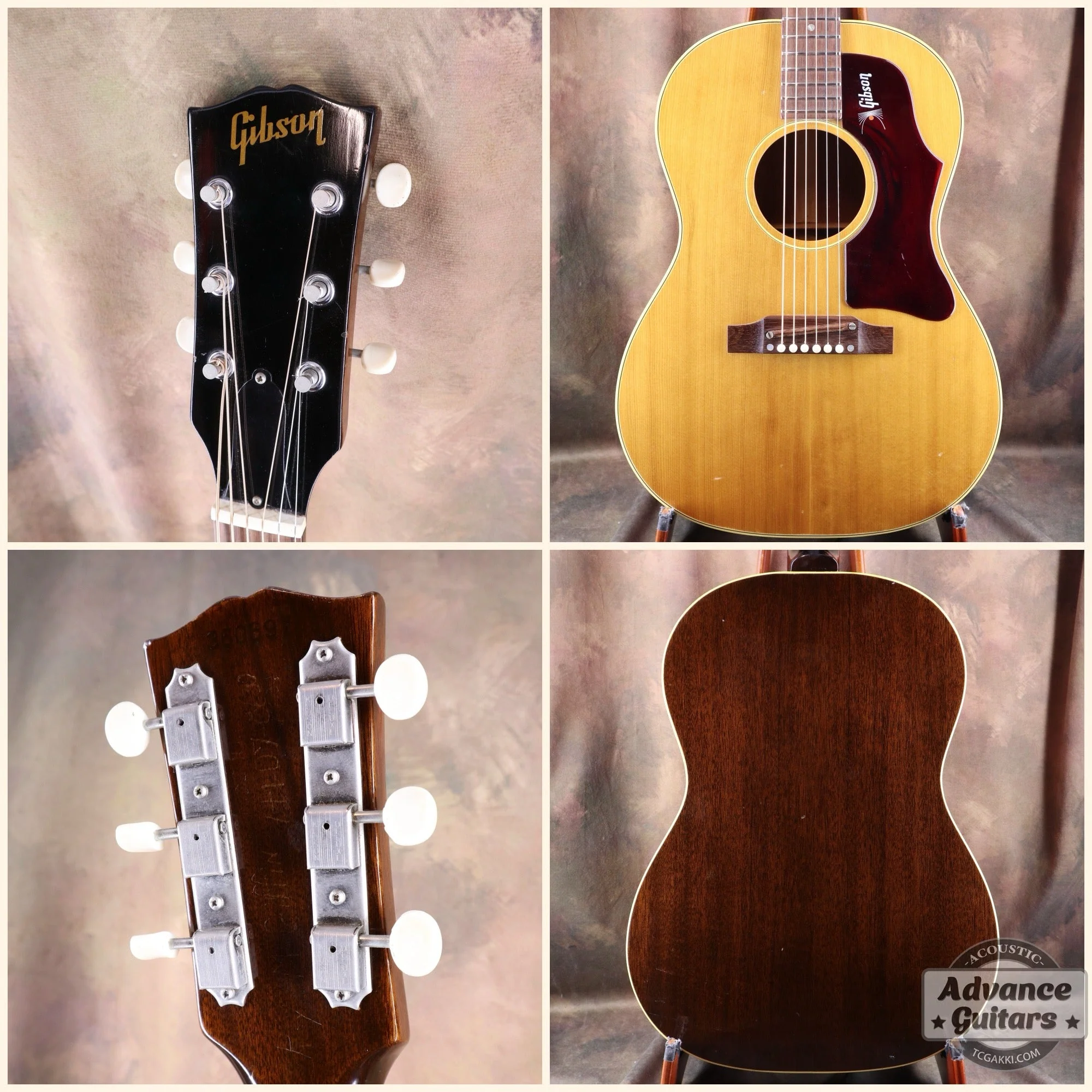 Gibson 1965年製 B-25 - Image 2