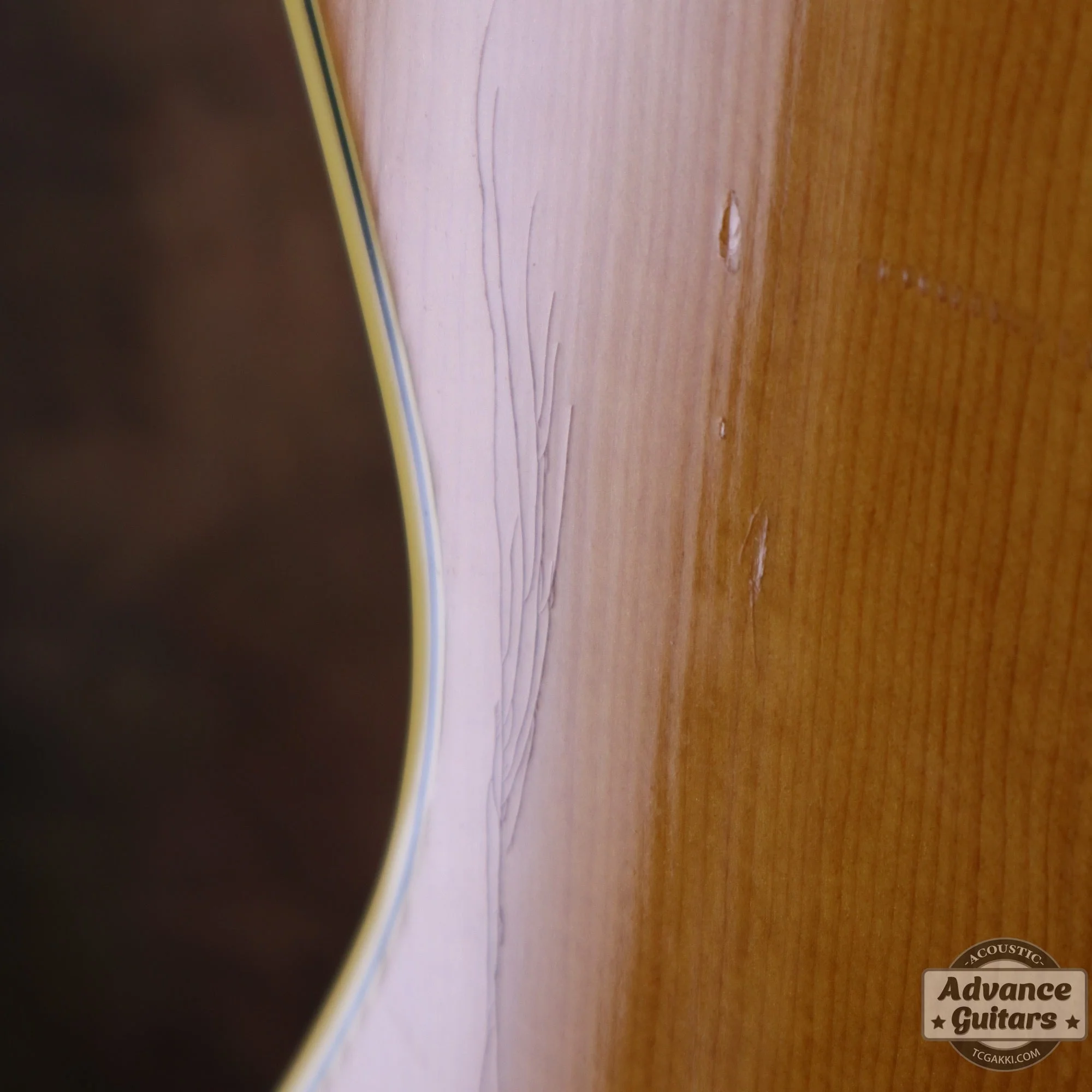 Gibson 1965年製 B-25 - Image 39