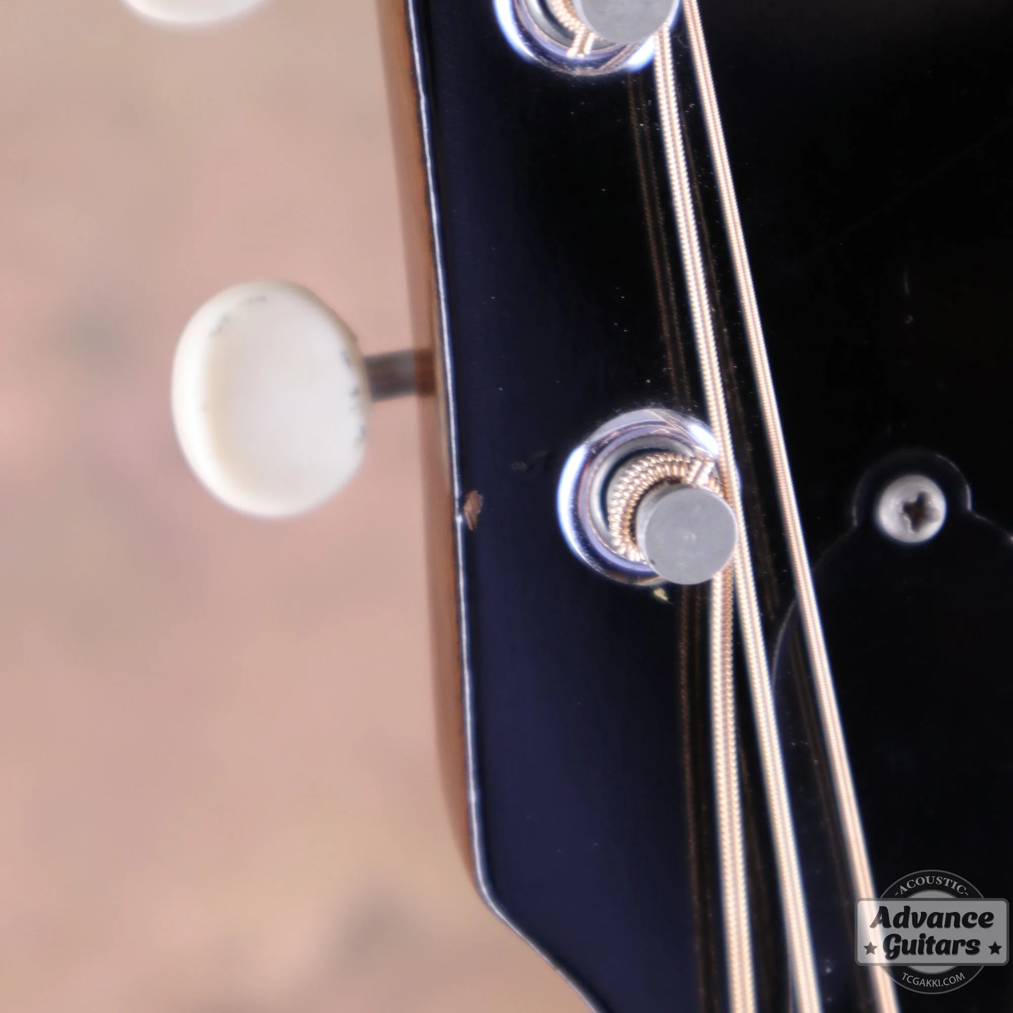 Gibson 1965年製 B-25 - Image 55