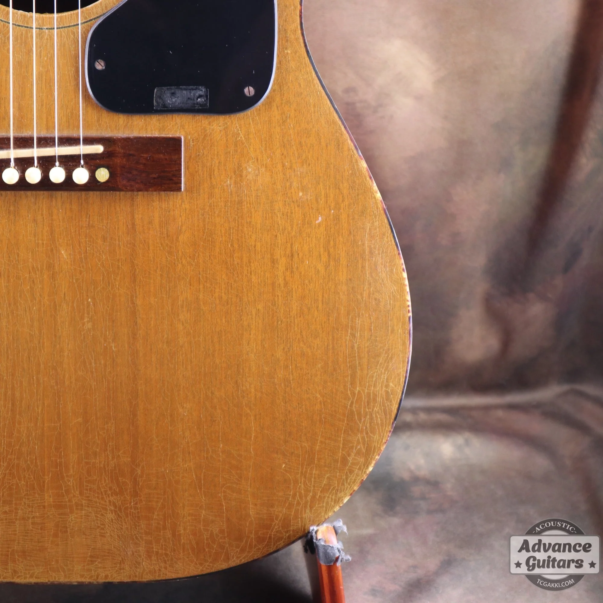 Gibson 1965年製 TG-0 - Image 21