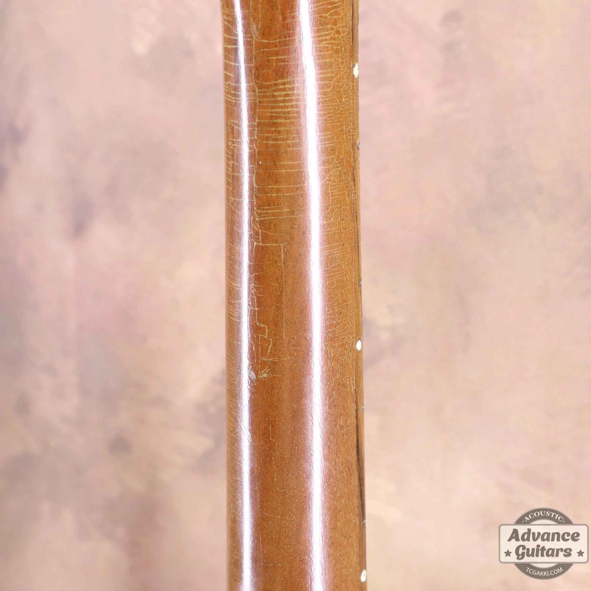 Gibson 1965年製 TG-0 - Image 29